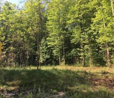 Lot D Old Owl Drive