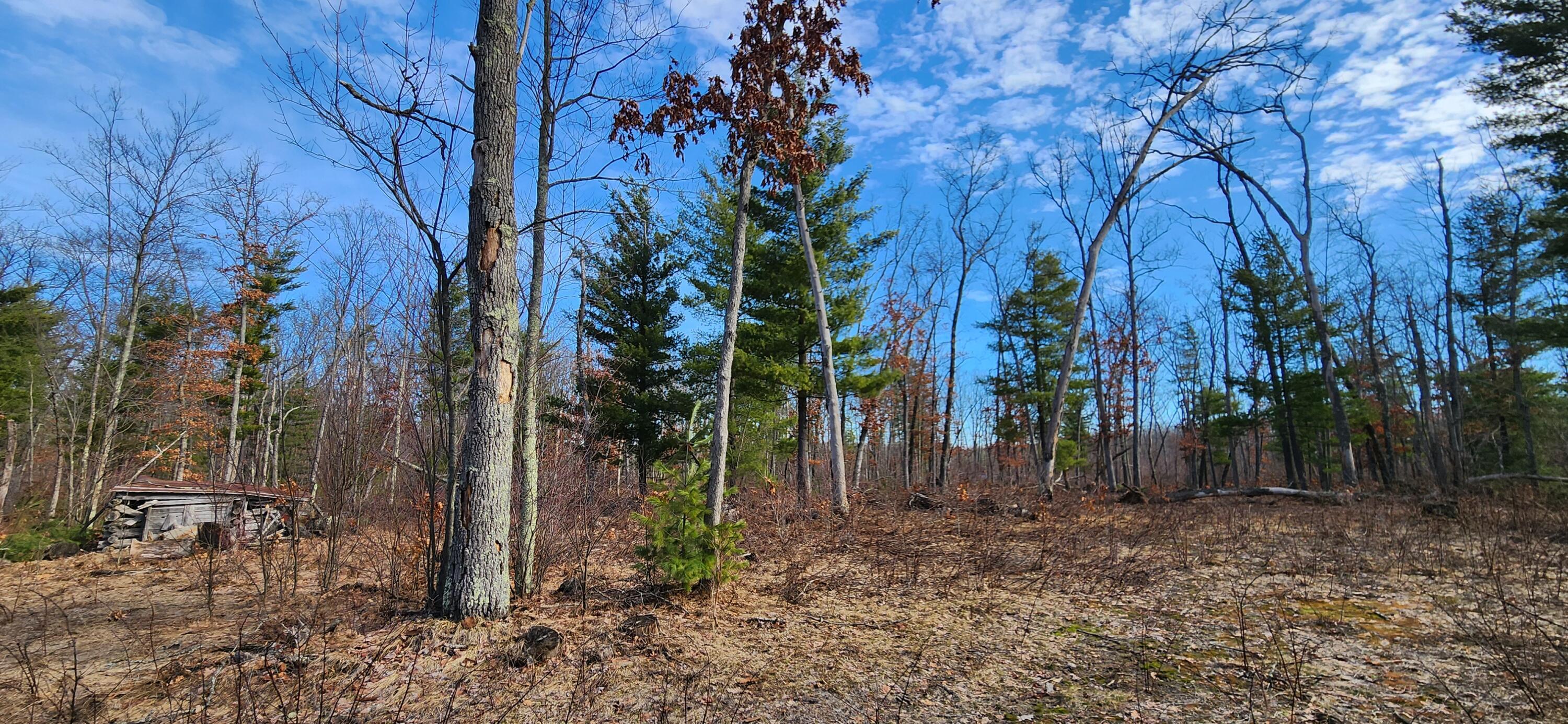 Image 3: 10 acres