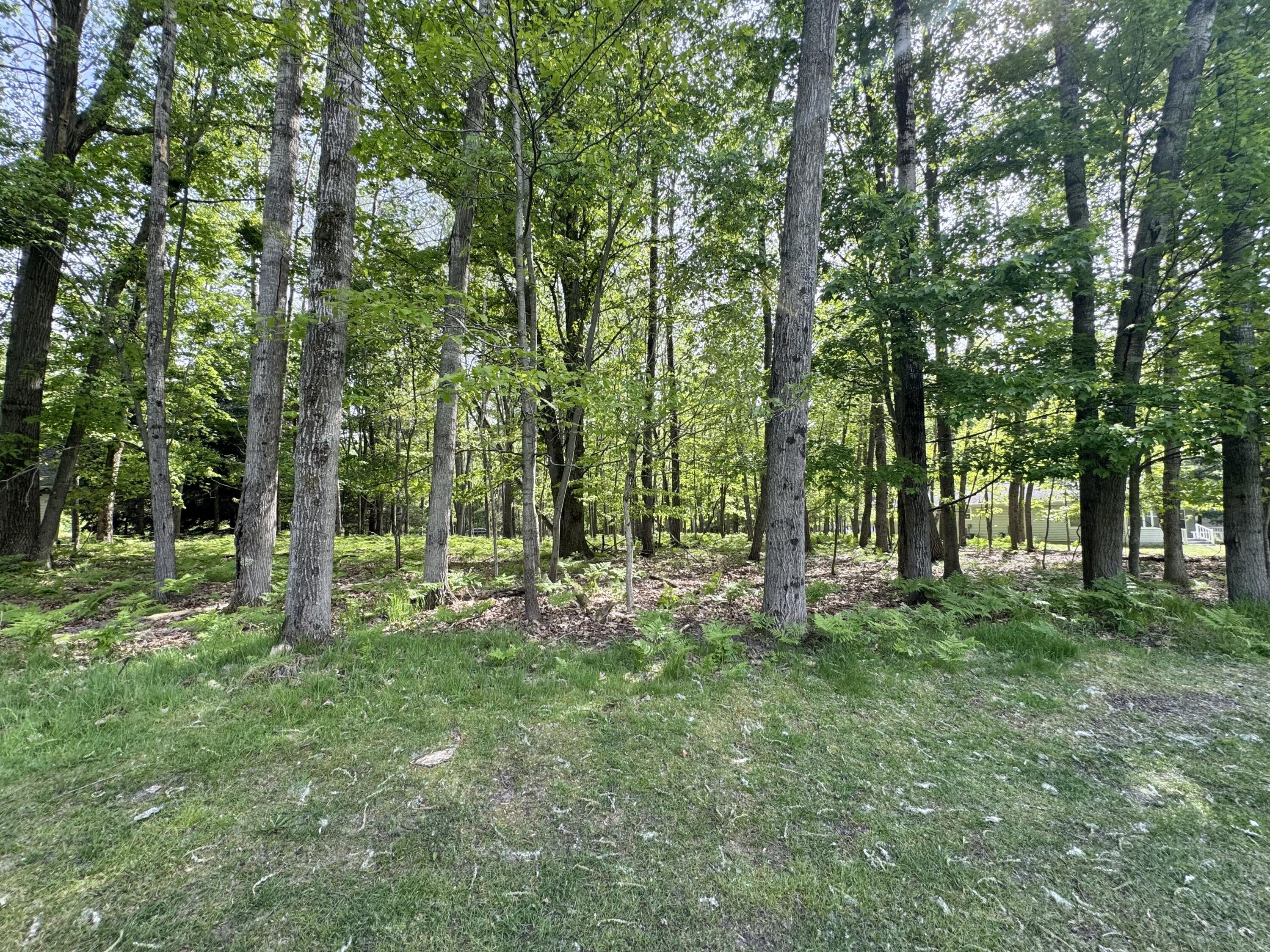 Image 3: IMG_0608