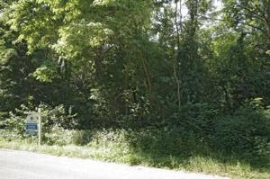 Coon Hollow