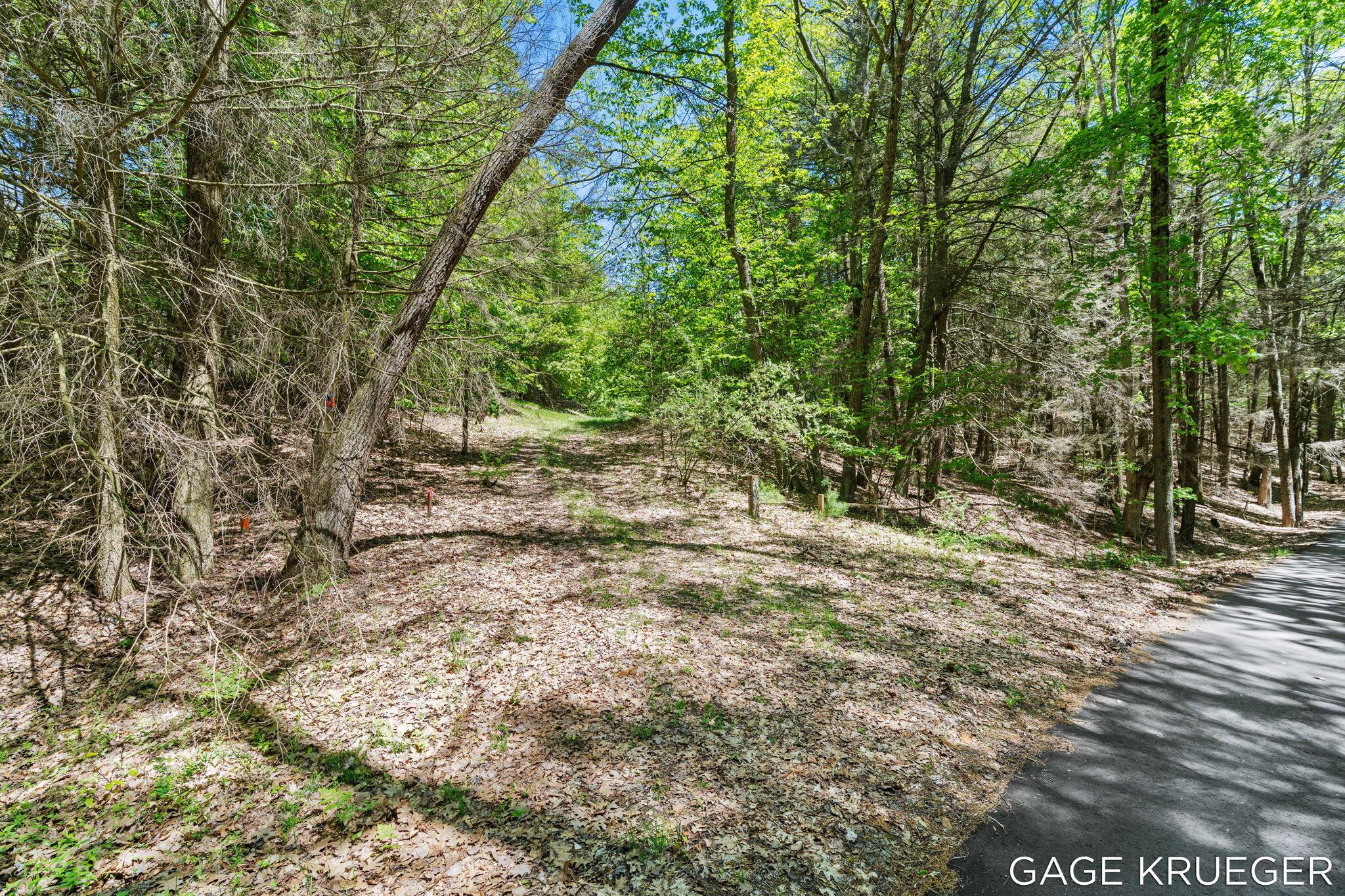 Image 2: 2-web-or-mls-DSC01592