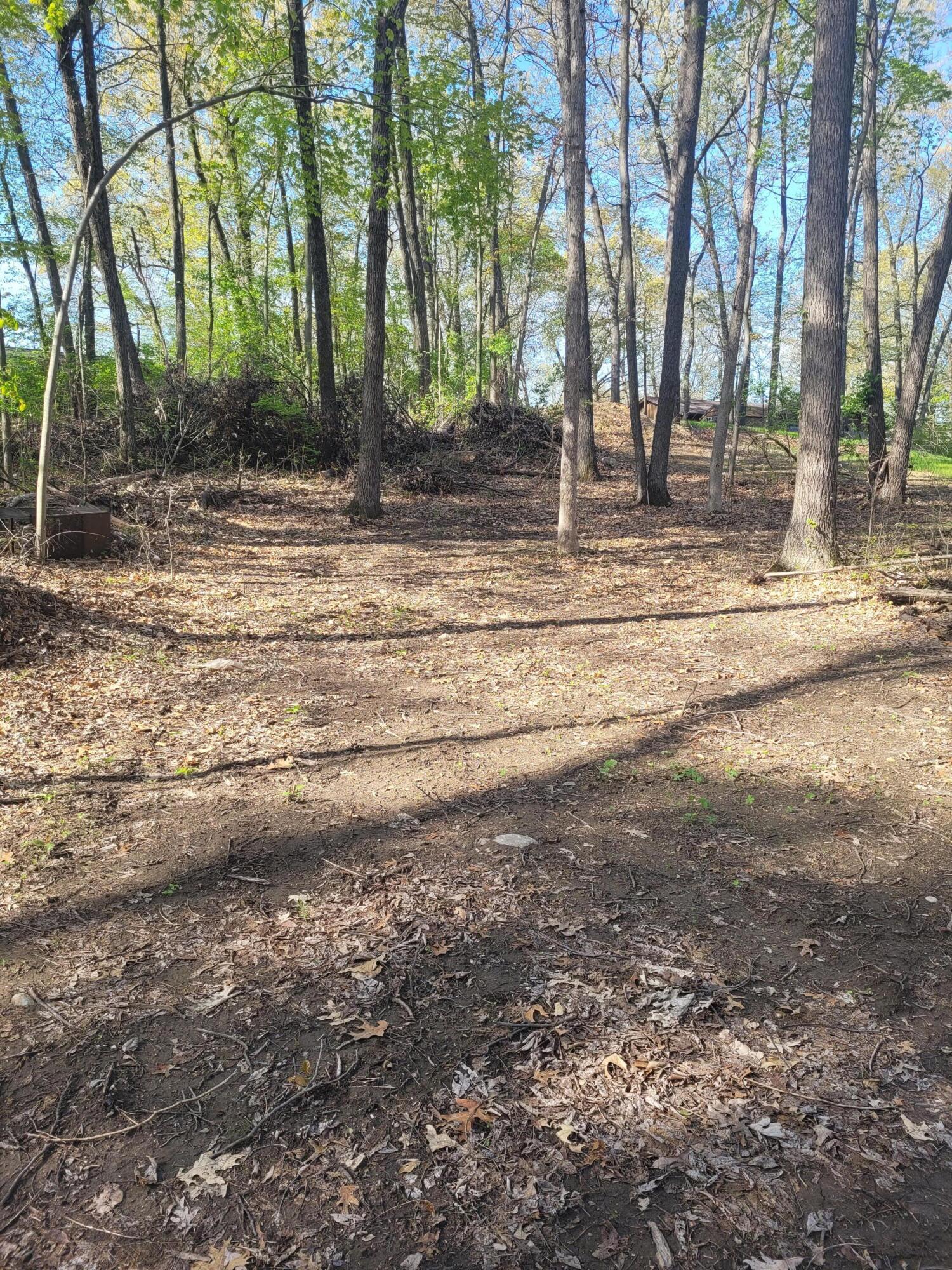 Image 4: Clearing for Parking