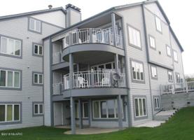 80 Woodman