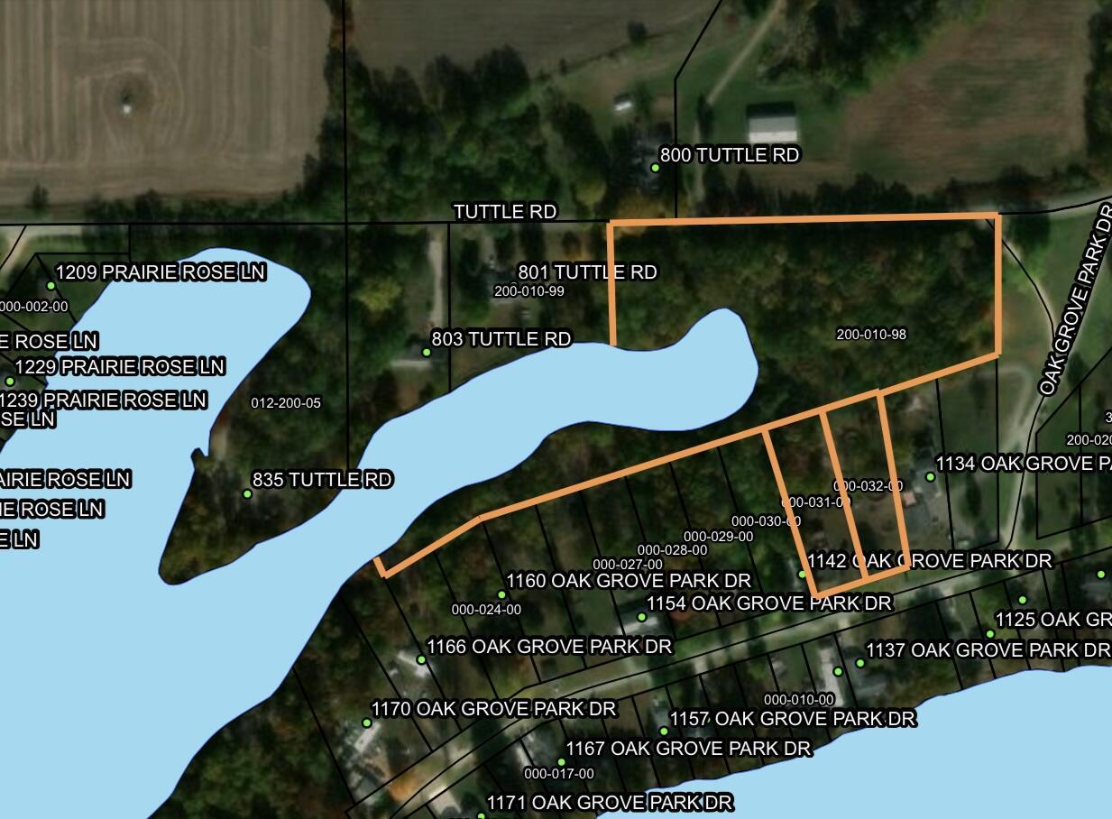 Image 2: Photo Nov 26 2025, 4 35 32 AM