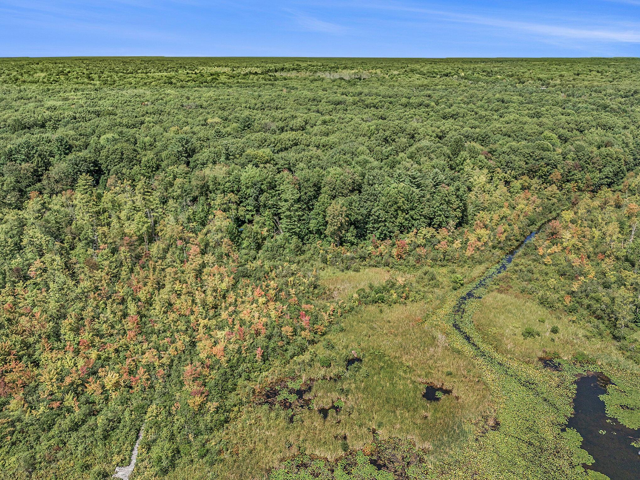 Image 2: 007_photo_aug_21_2024_2_43_51_pm_3