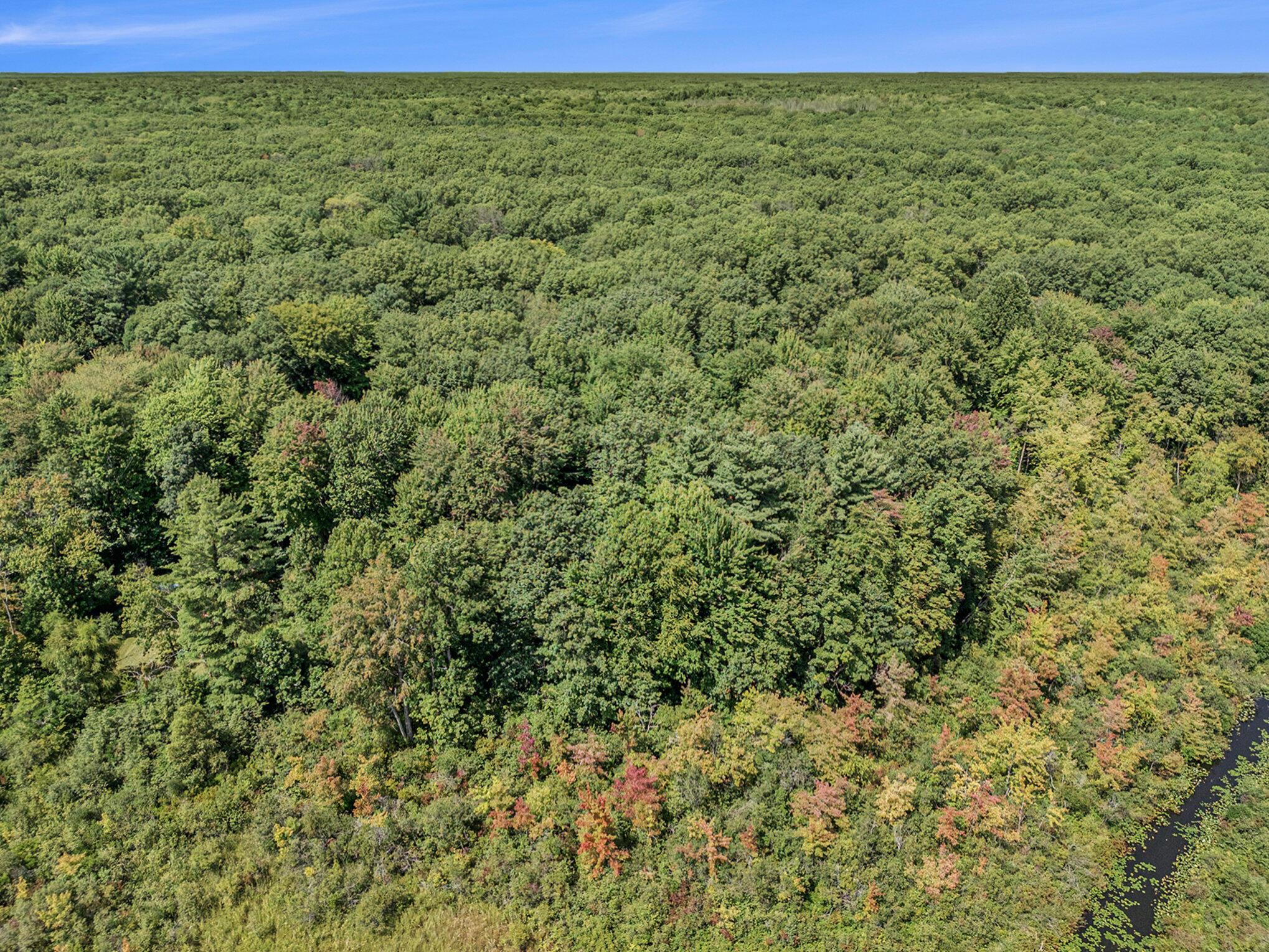 Image 3: 006_photo_aug_21_2024_2_43_51_pm_2