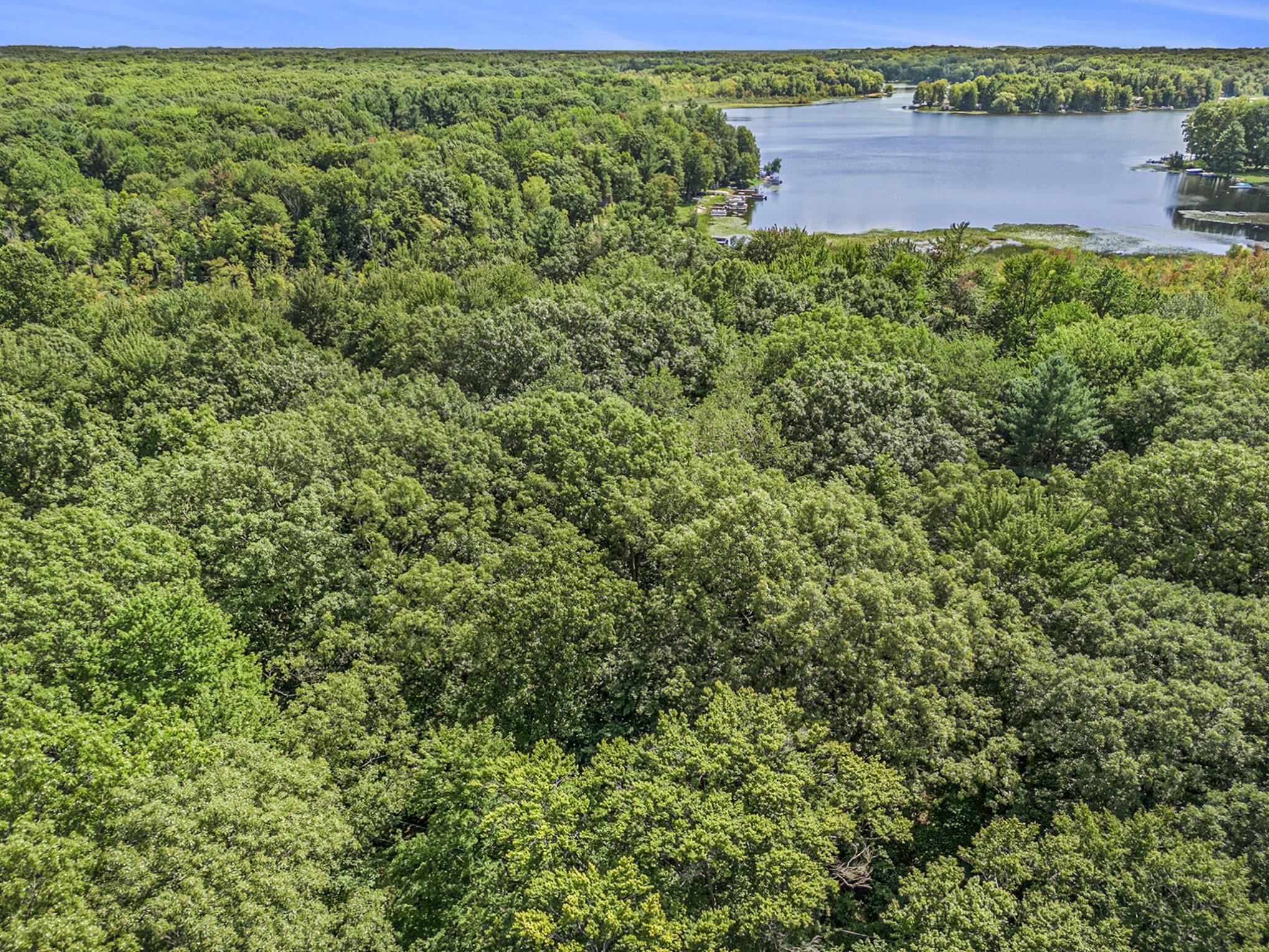 Image 4: 001_photo_aug_21_2024_2_43_11_pm