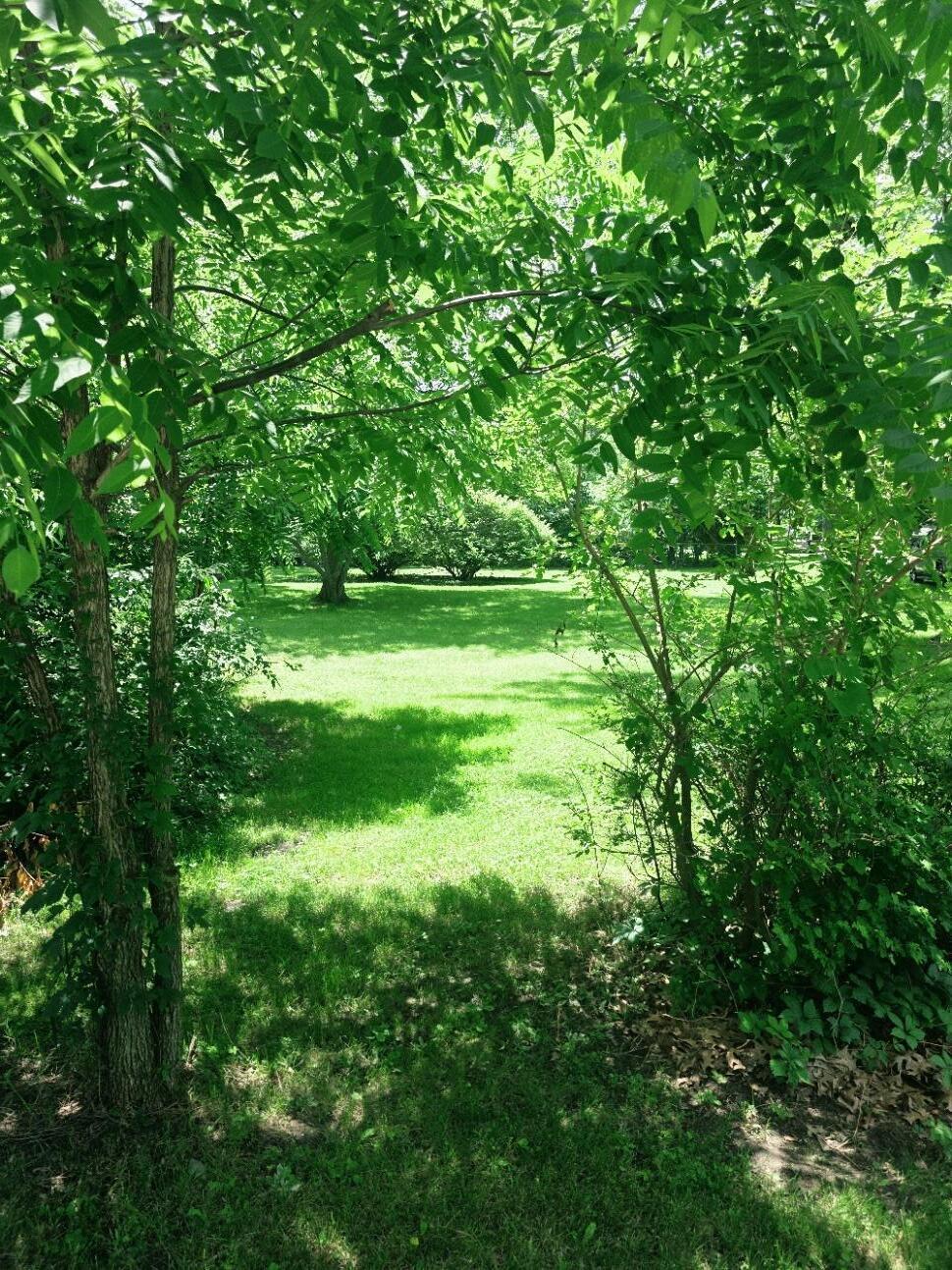Image 1: glenlord lot4