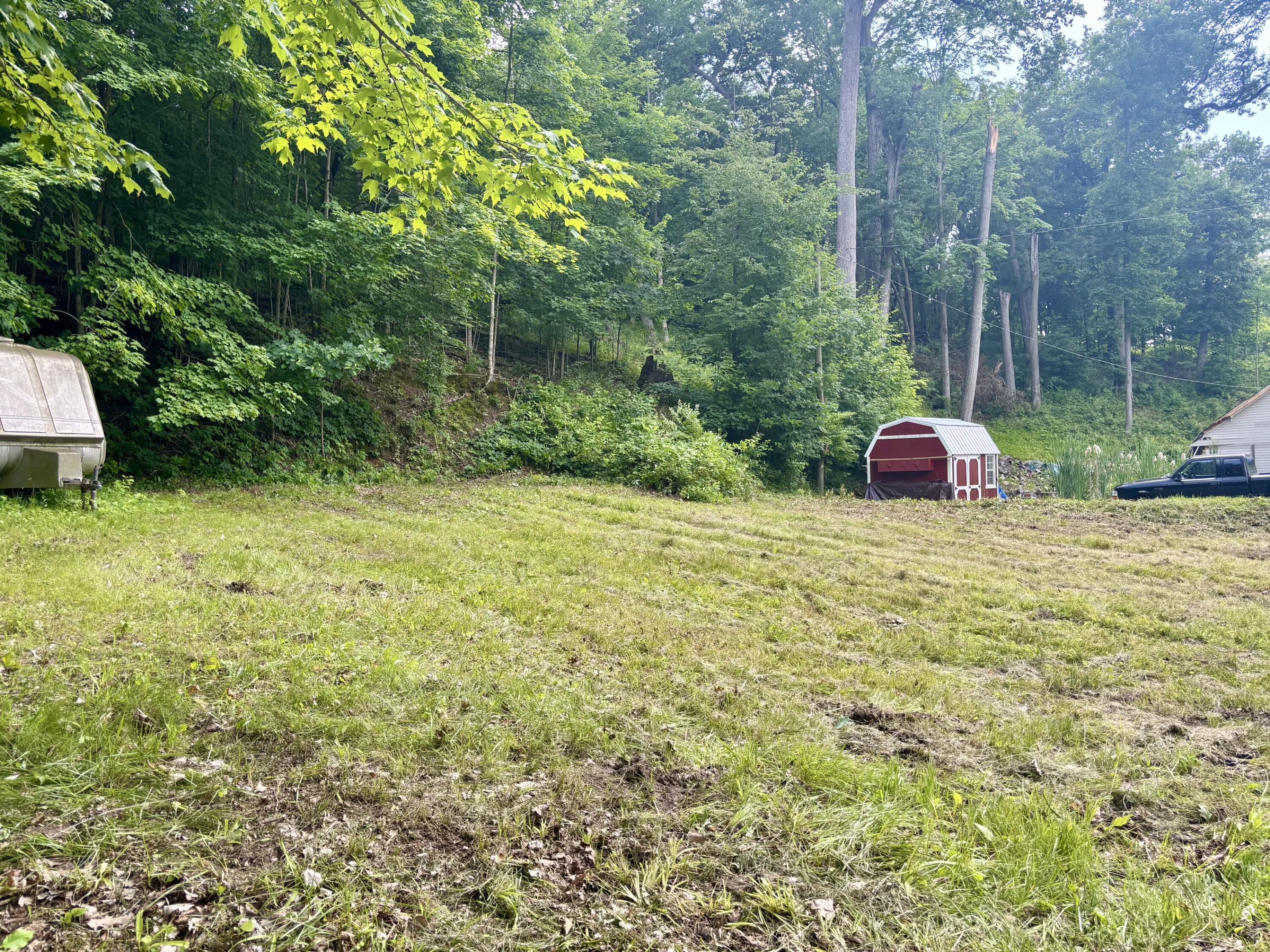 Image 3: IMG_8075