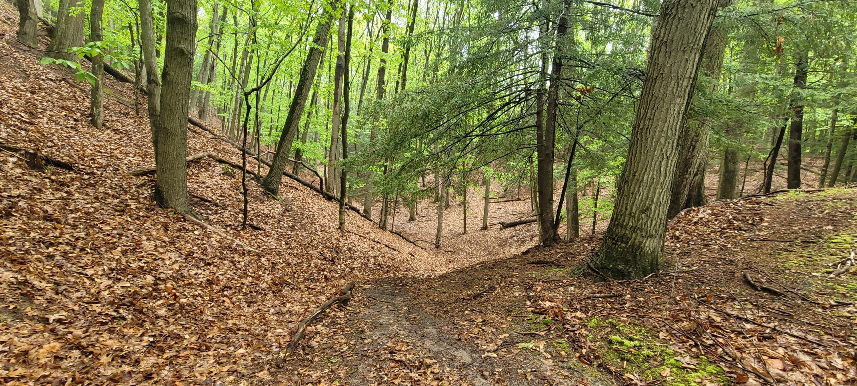 Image 4: 20250529_112823