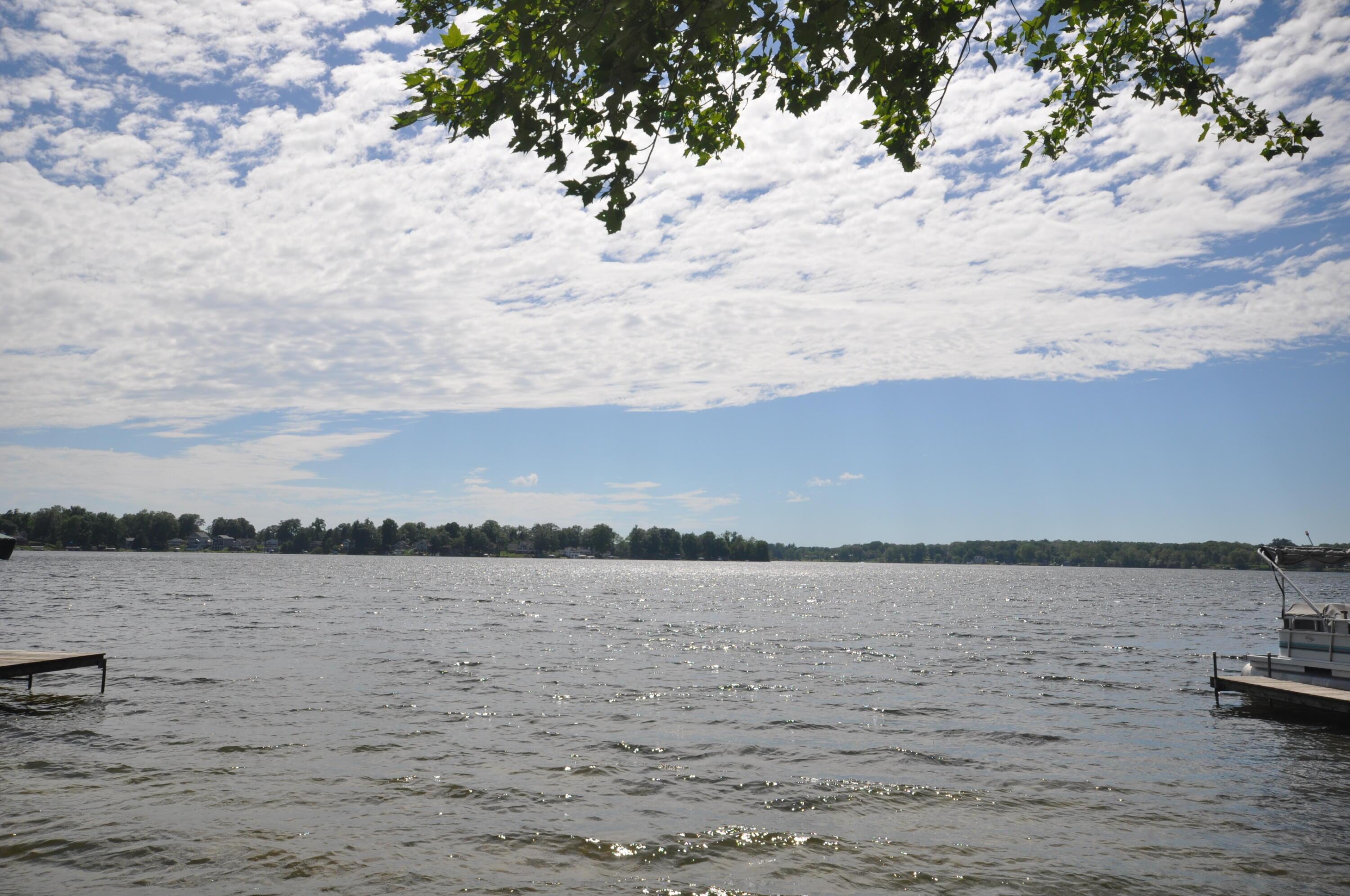 Image 3: DSC_0020