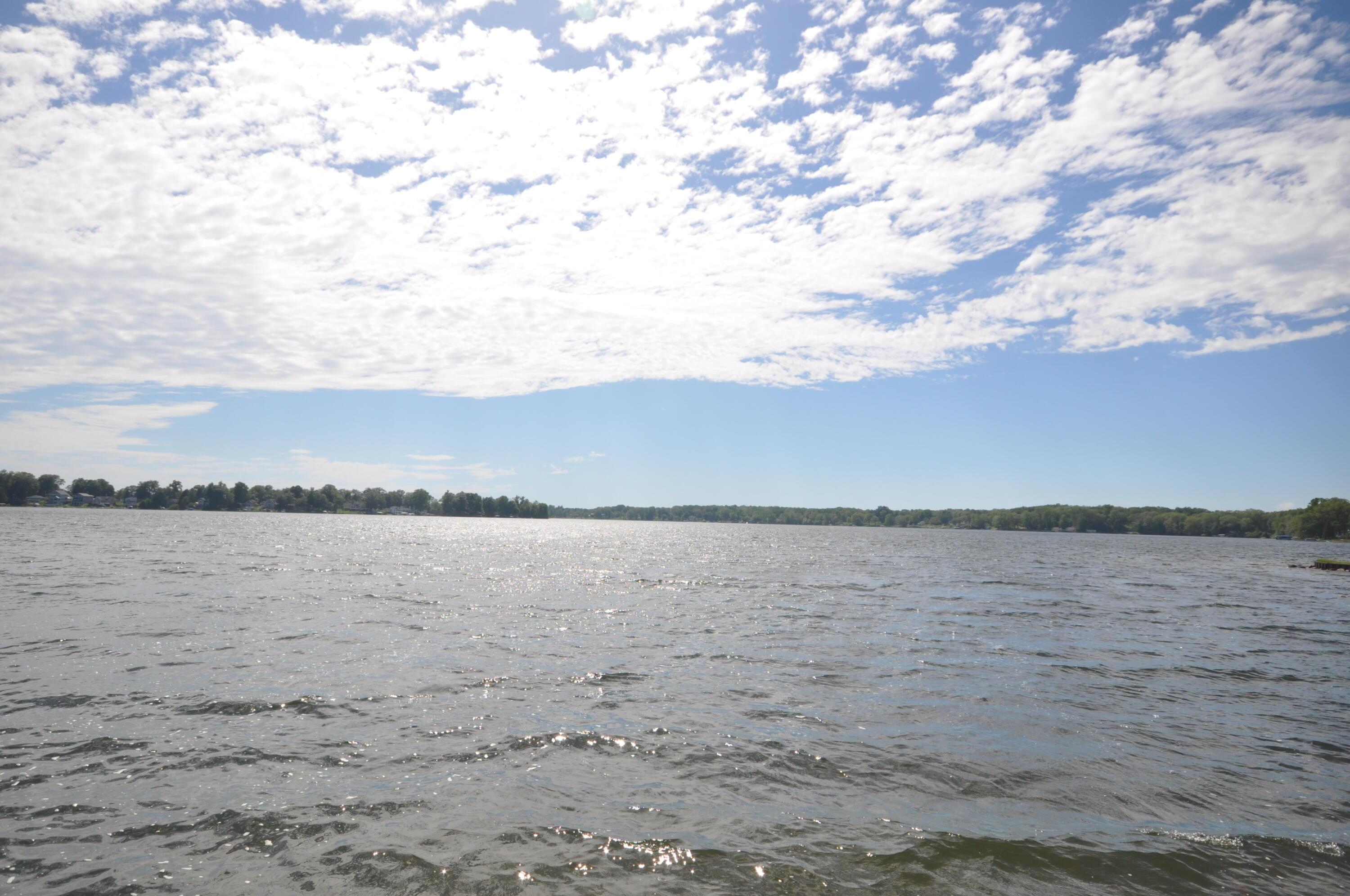 Image 4: DSC_0030