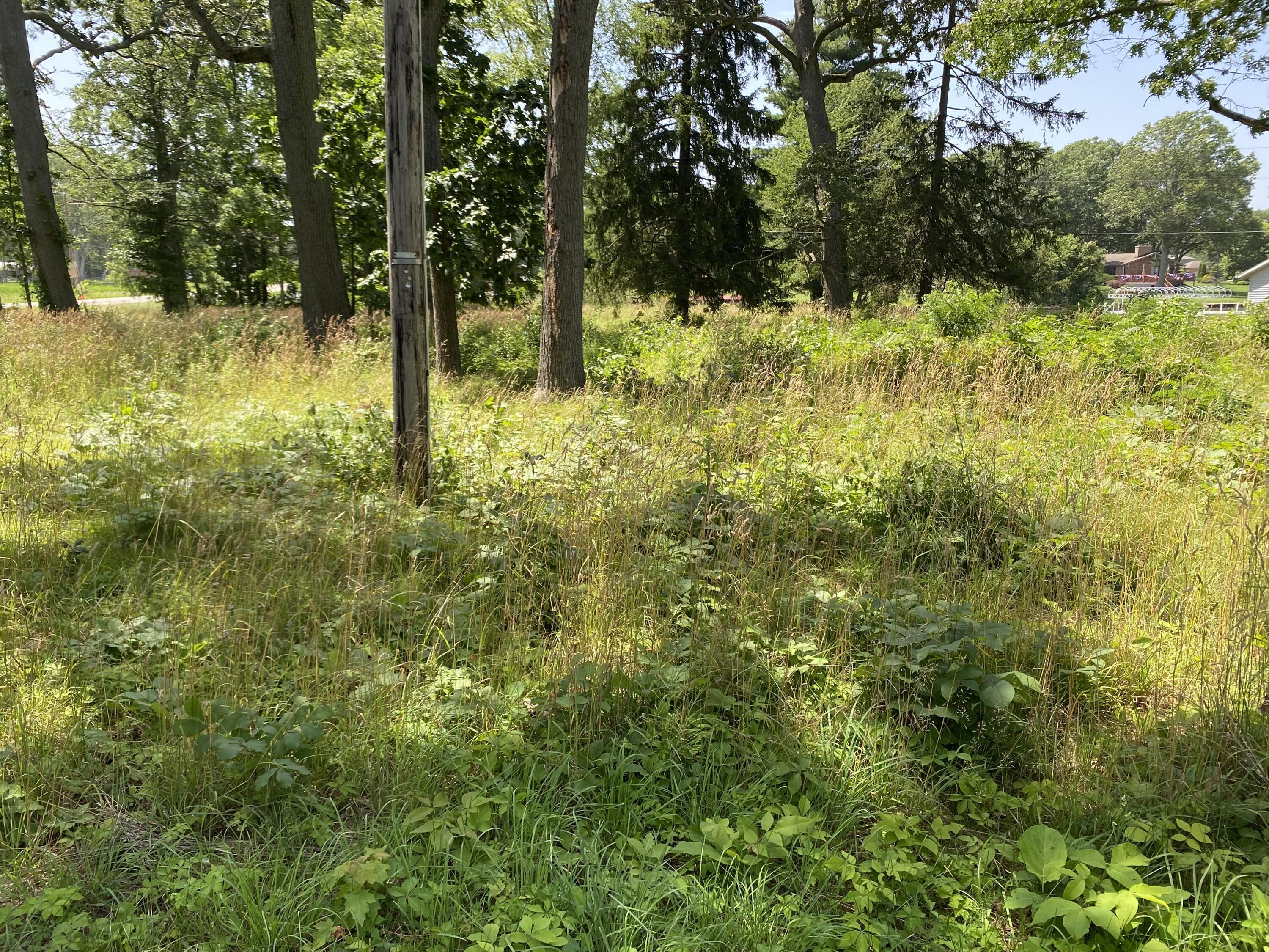 Image 2: image3 (12)