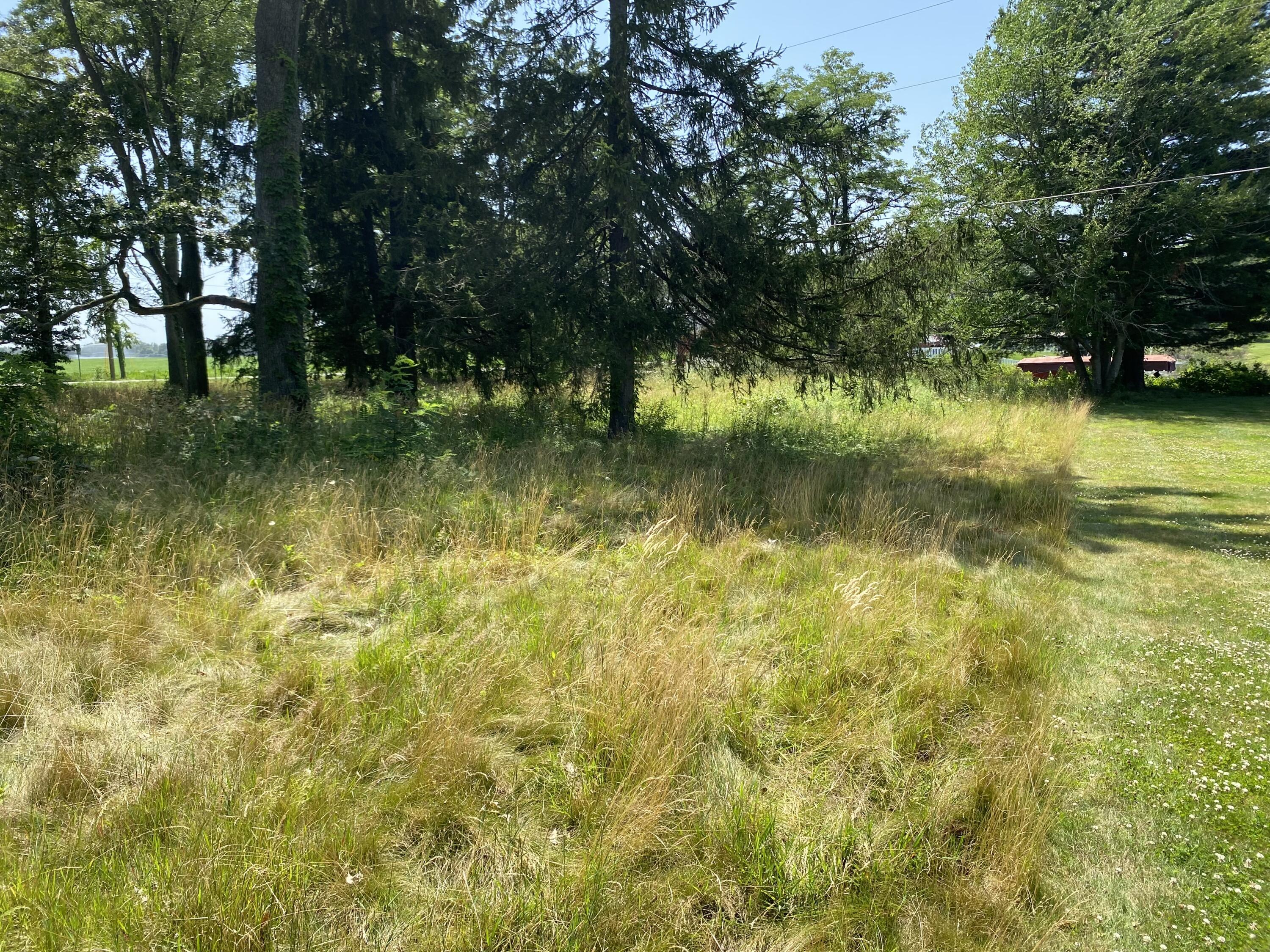 Image 3: image2 (23)