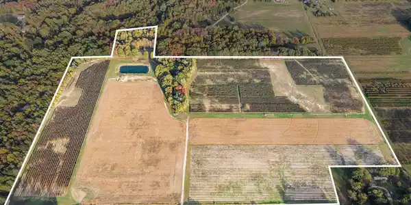 Image 2: Aerial_Outlined