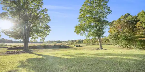 Image 4: Potential Home Site