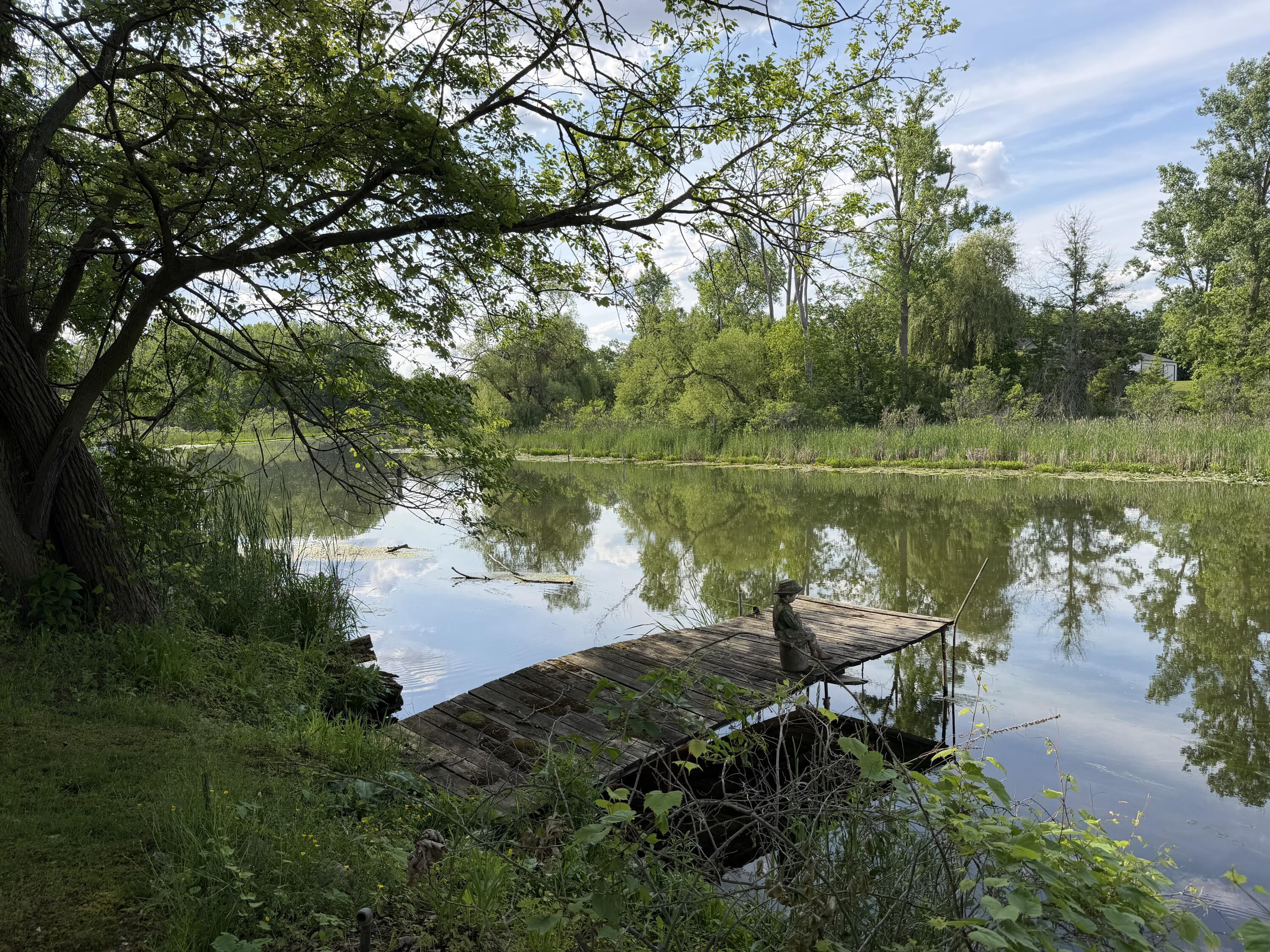 Image 4: IMG_1274