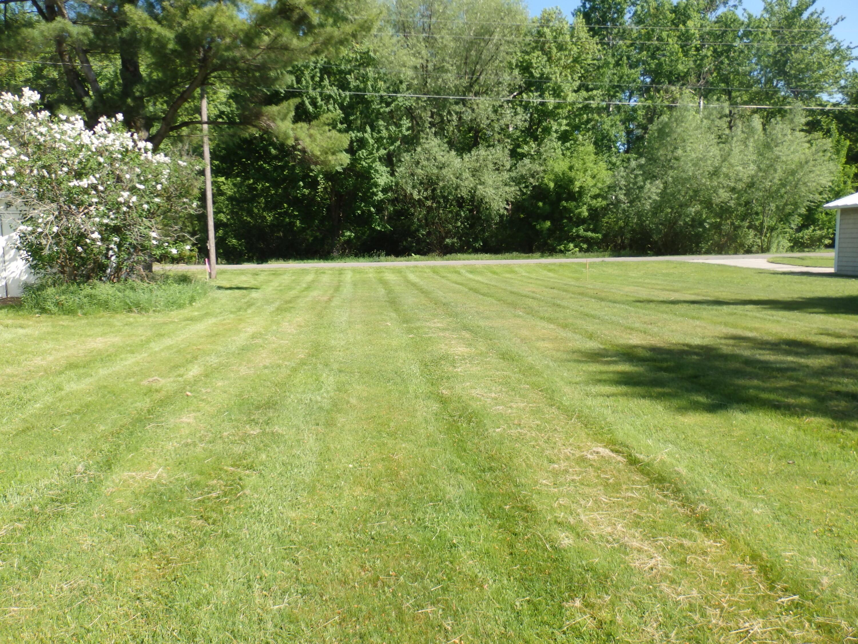 Image 3: P6014251