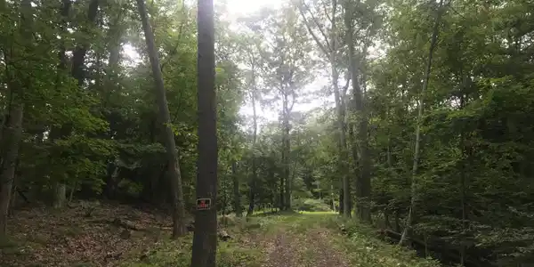 S Lakeview Dr
