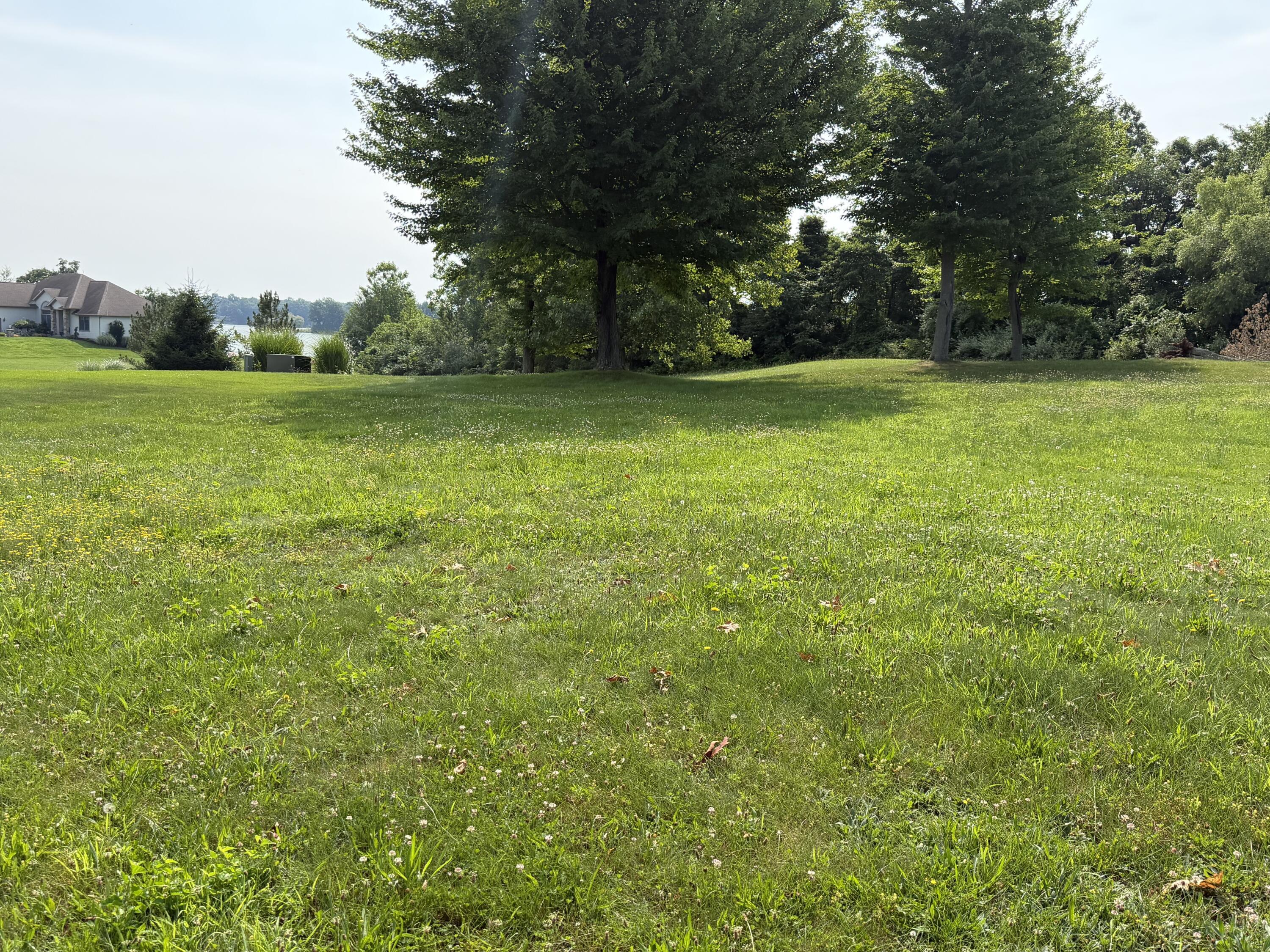 Image 4: IMG_1769