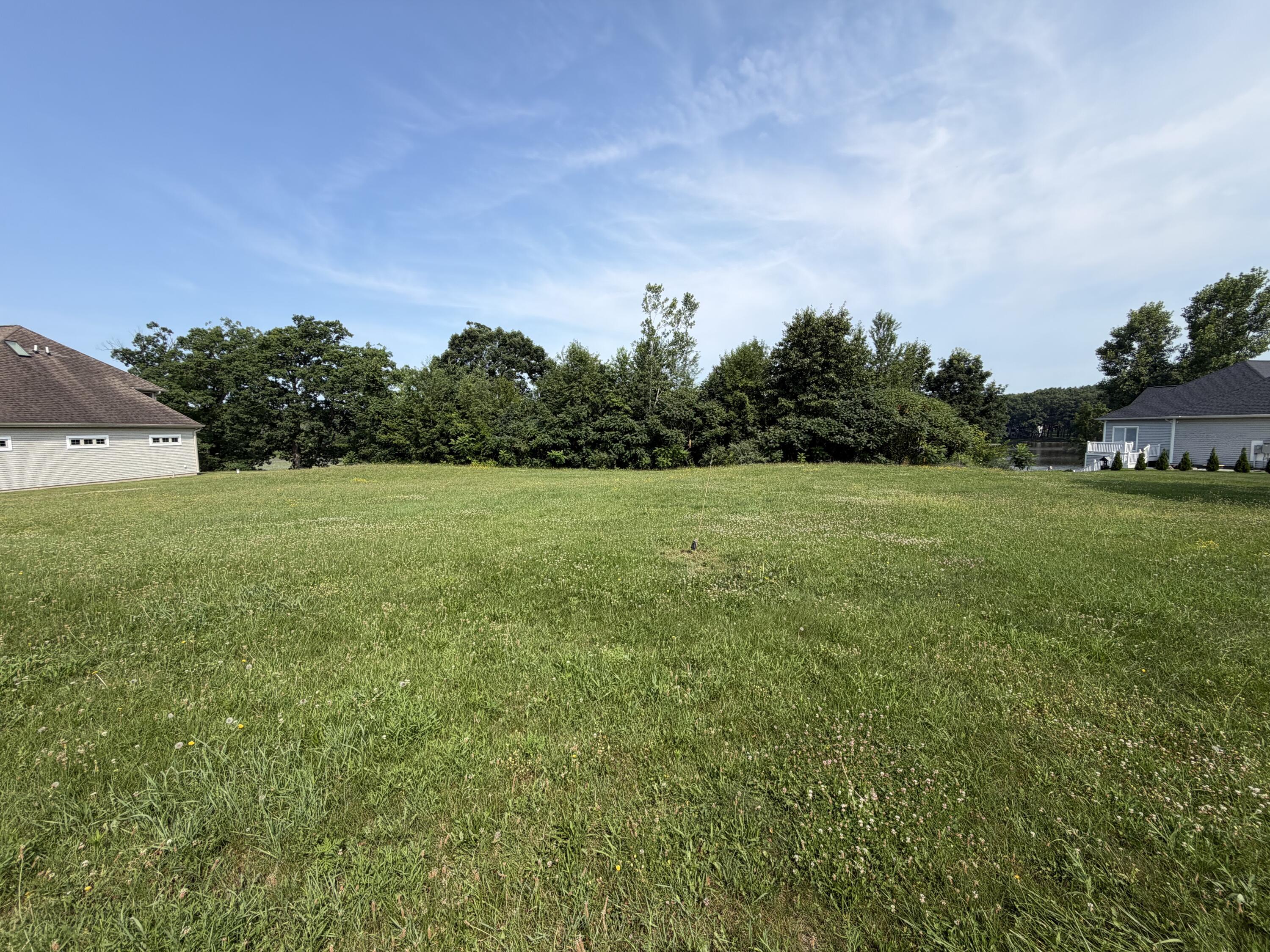 Image 2: IMG_1772