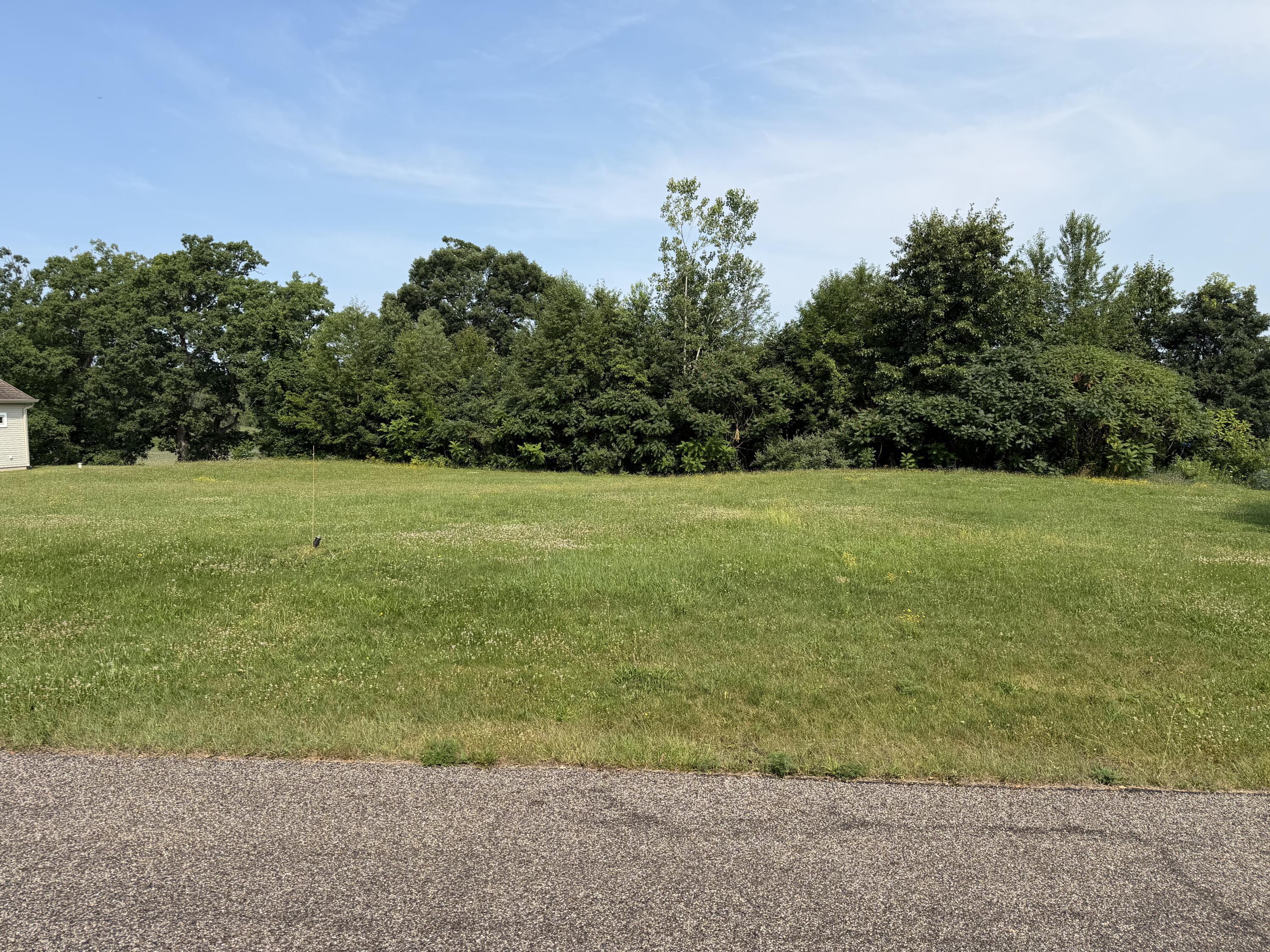 Image 3: IMG_1764