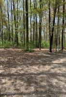 16160 Stones throw lane