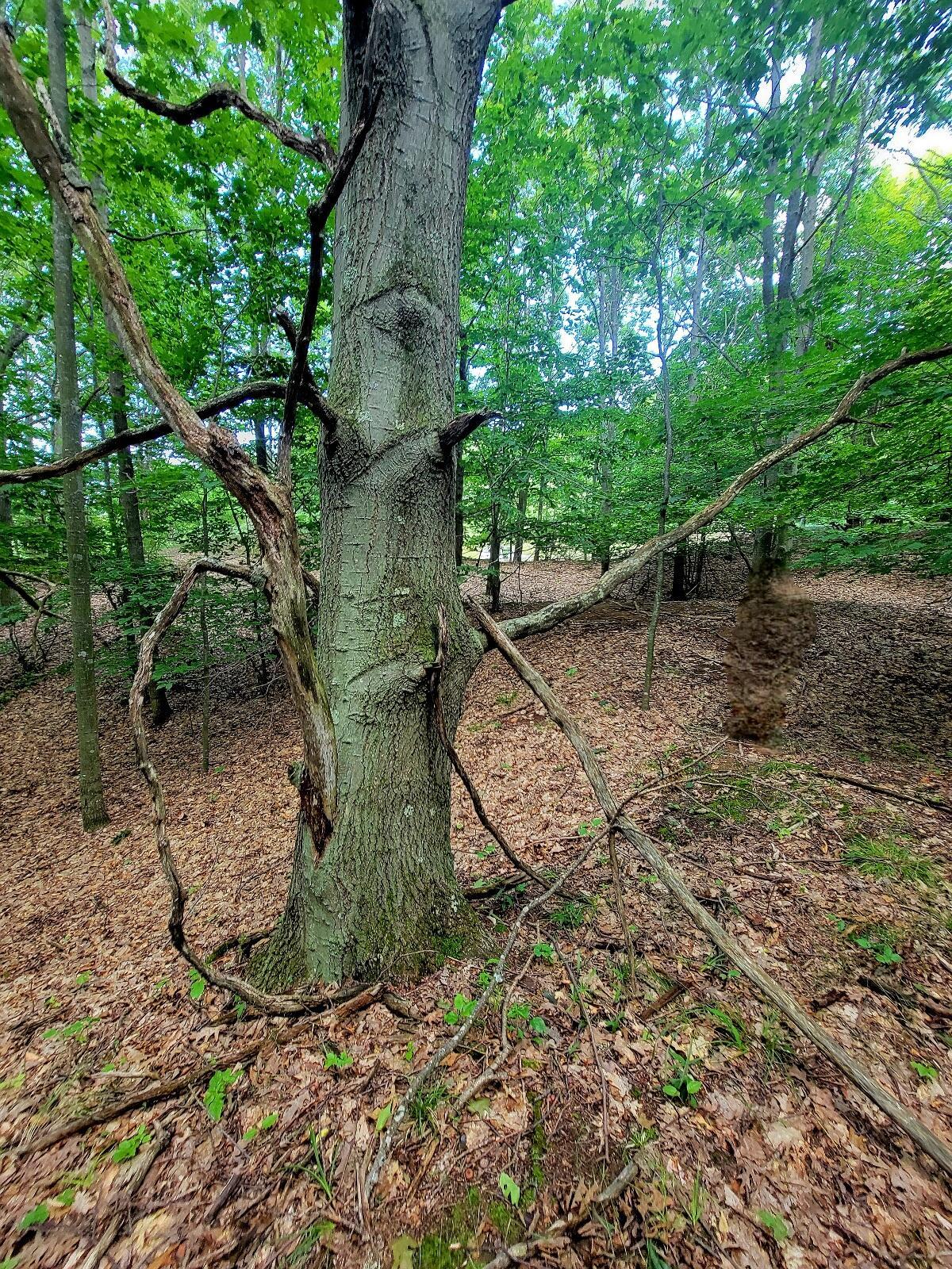 Image 2: 20250718_113332