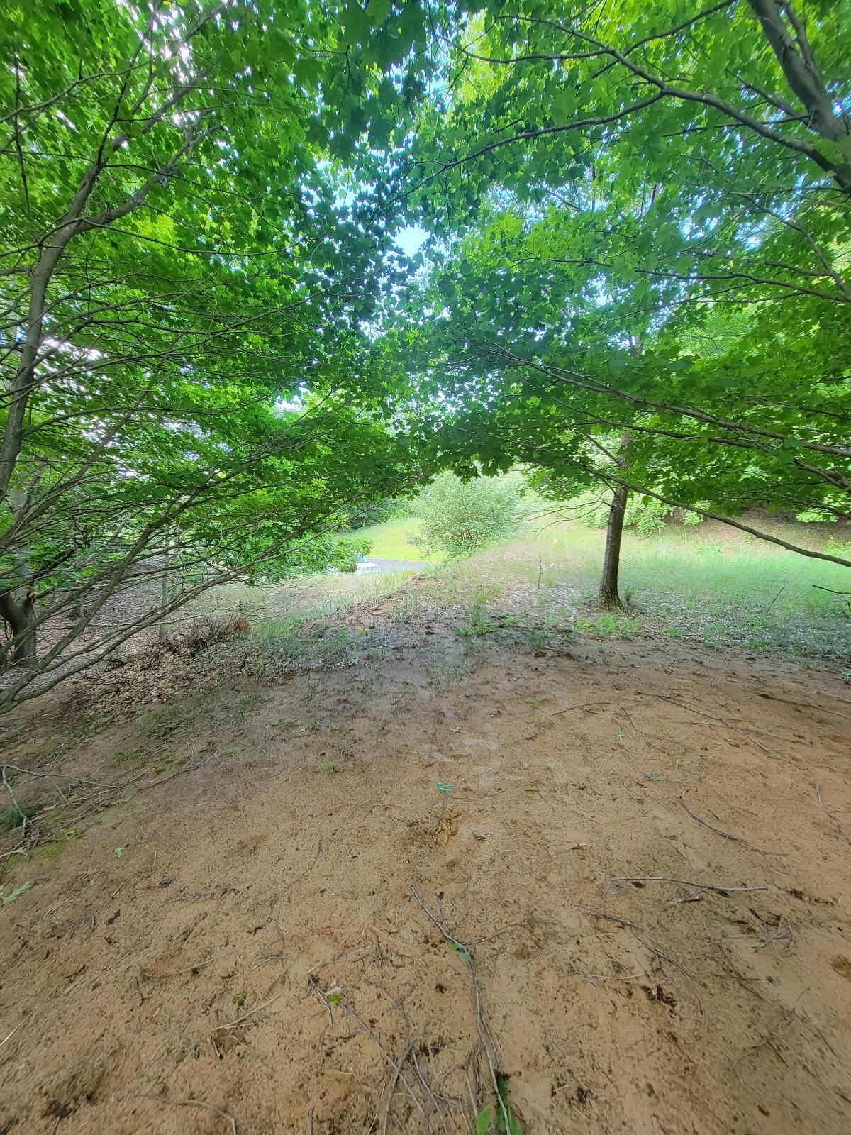 Image 3: 20250718_113613