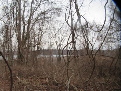 17673 Long Lake Drive