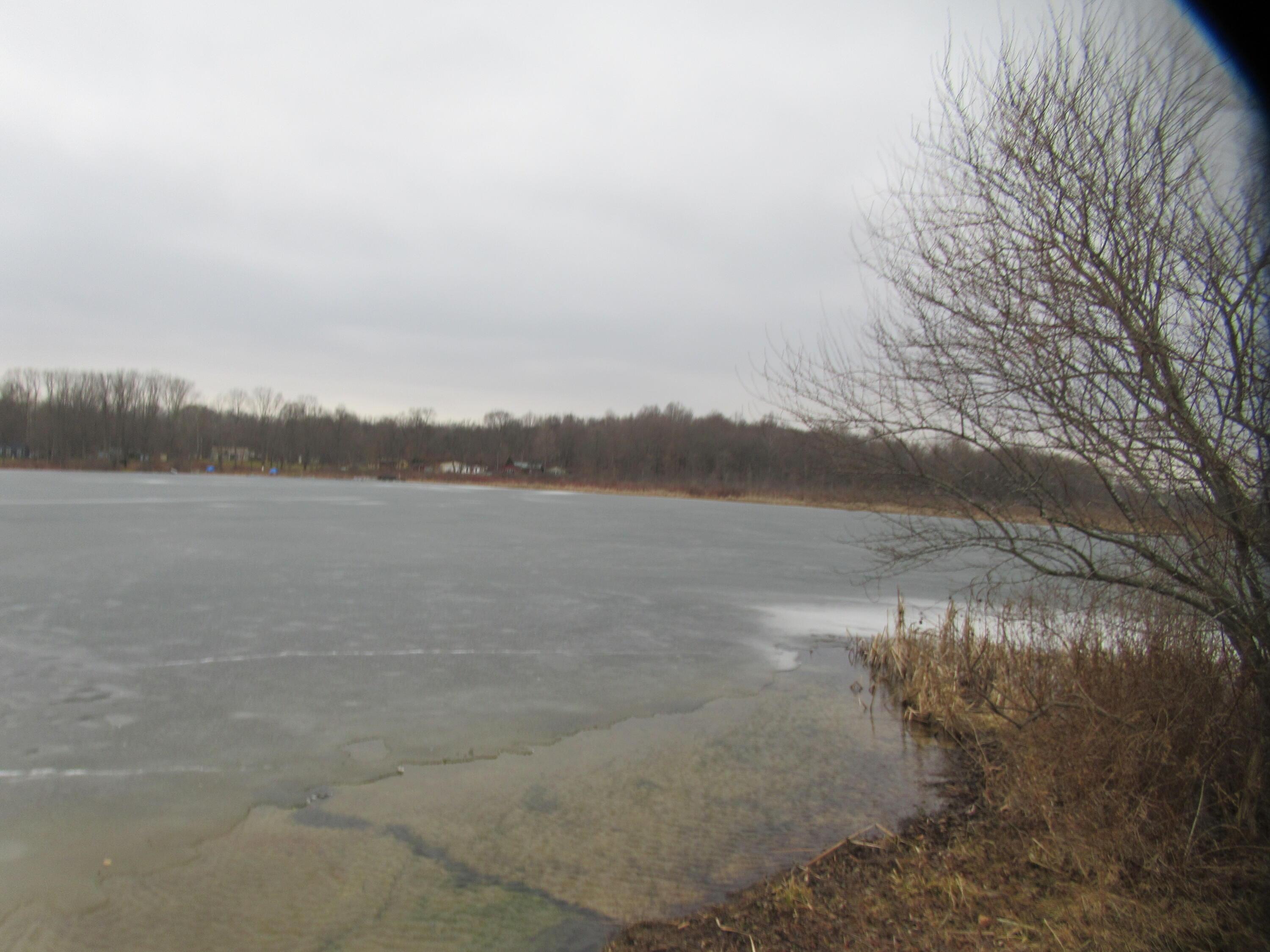 Image 3: IMG_0071
