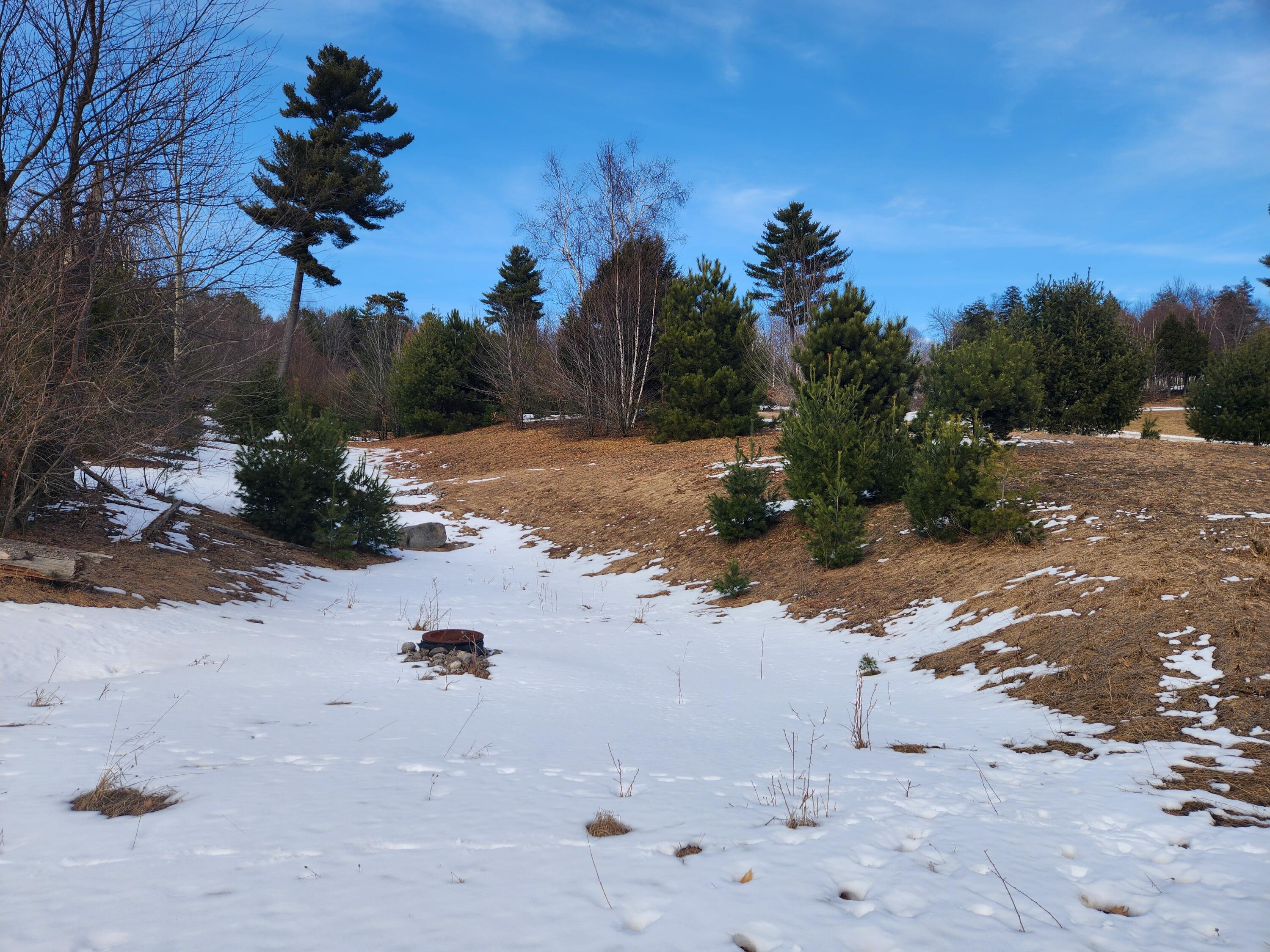 Image 2: 20260303_151655