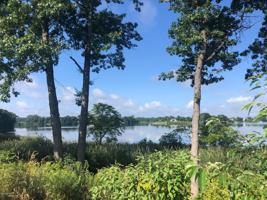 Lot 25 Crystal Beach