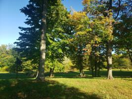 4827 Knoll