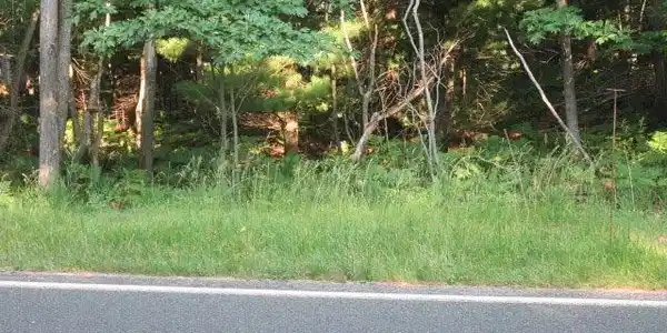 17 Ridge Road