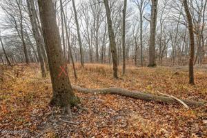 1020 Sylvan Road 49022