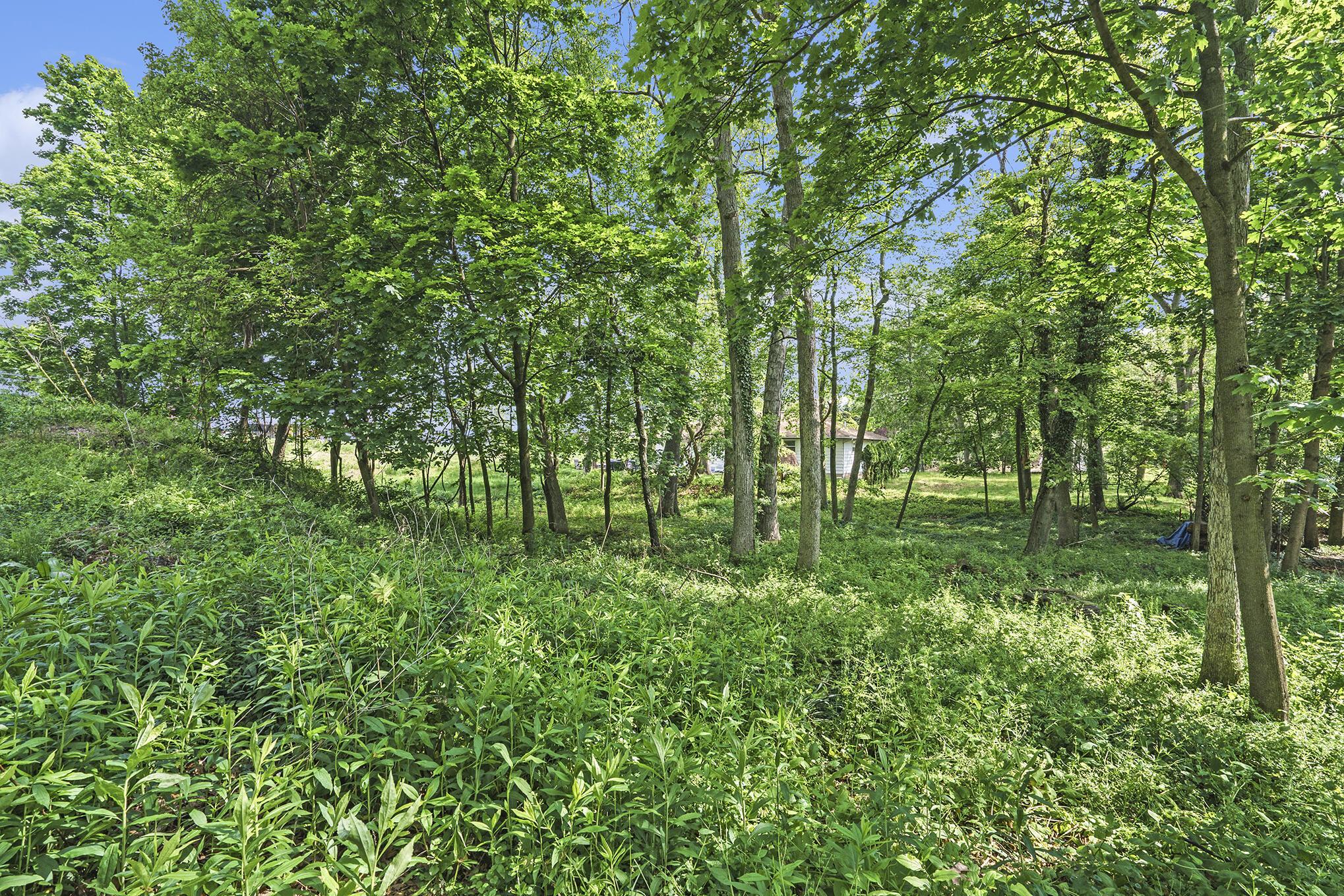 Image 2: 015_dsc06467