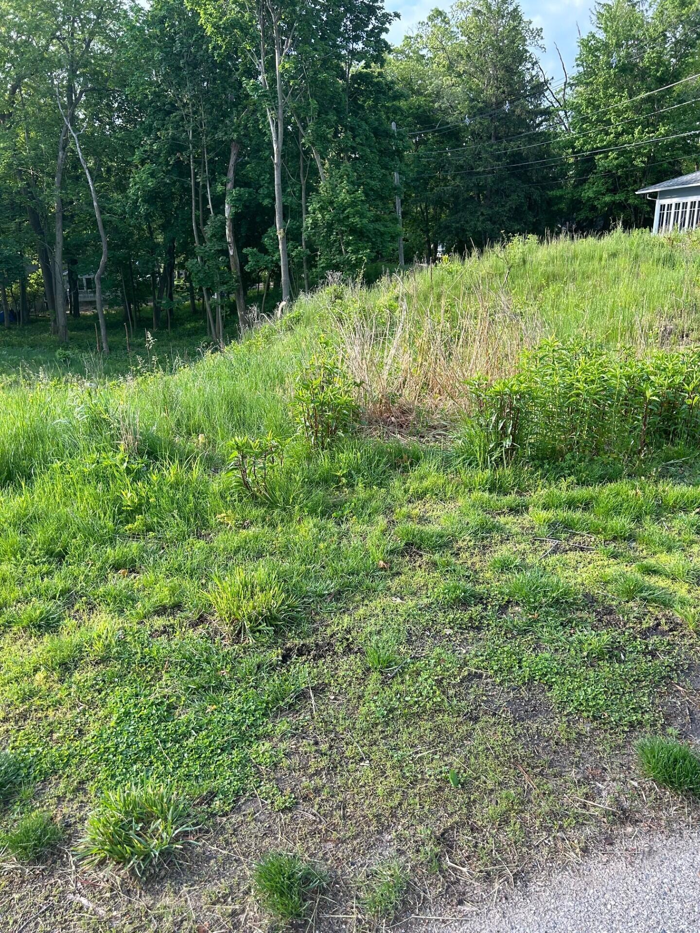 Image 3: thumbnail_IMG_3149