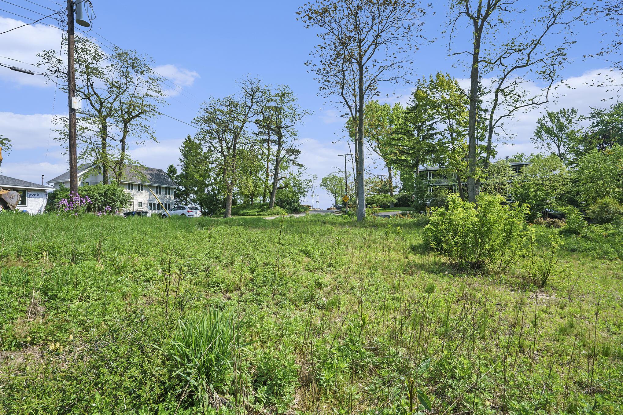 Image 4: 009_dsc06453