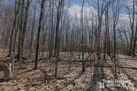 9310 S Benjamin Drive