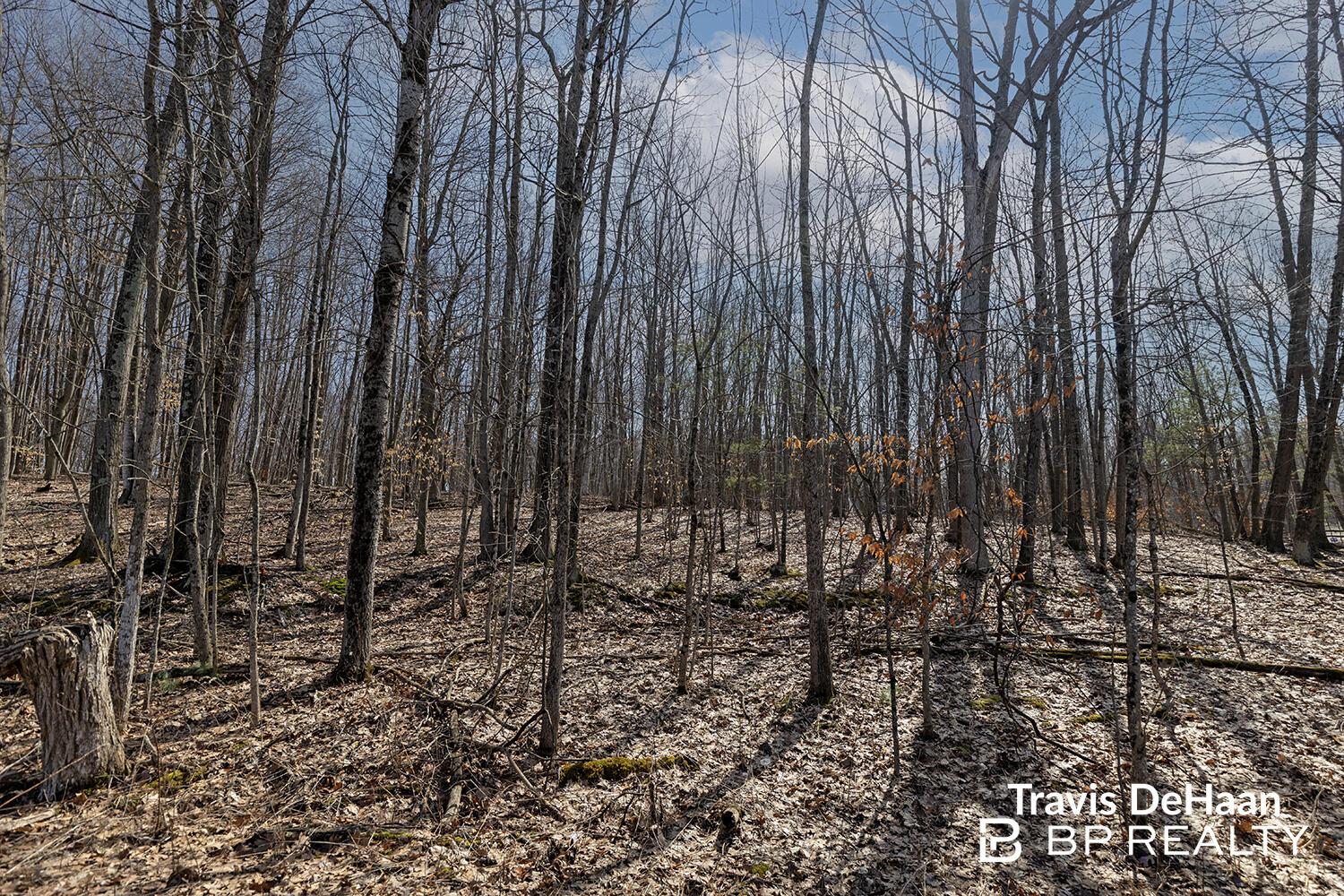 Image 1: 2F9A9290copy