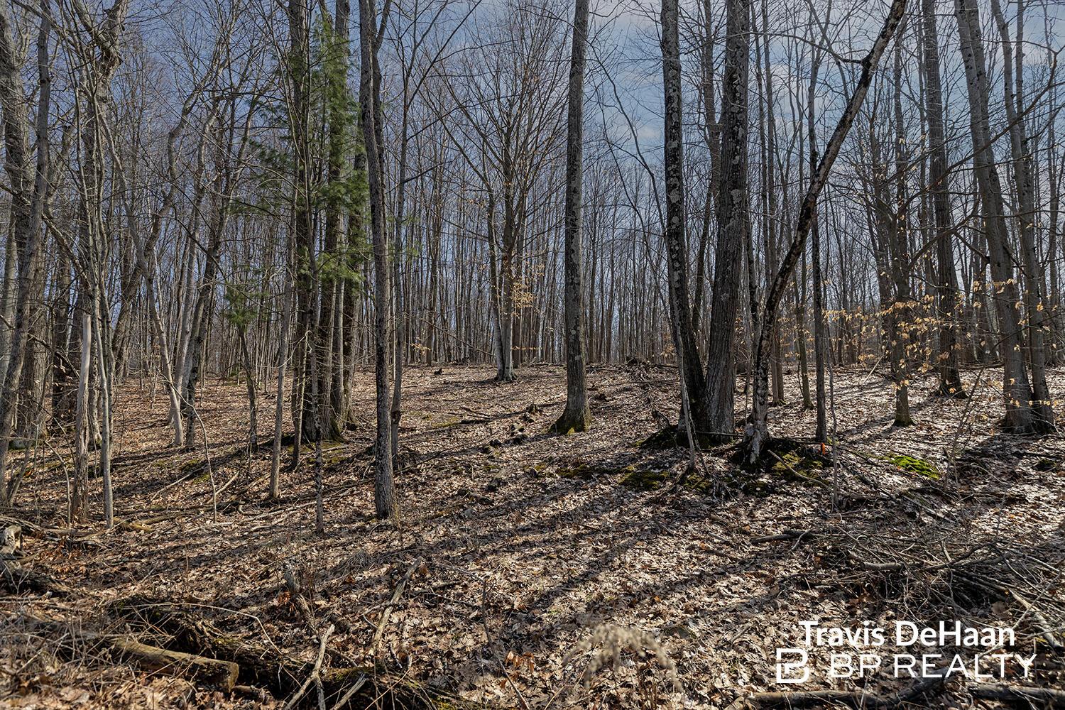 Image 2: 2F9A9295copy