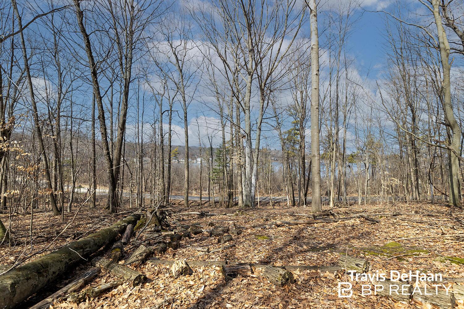 Image 3: 2F9A9299copy