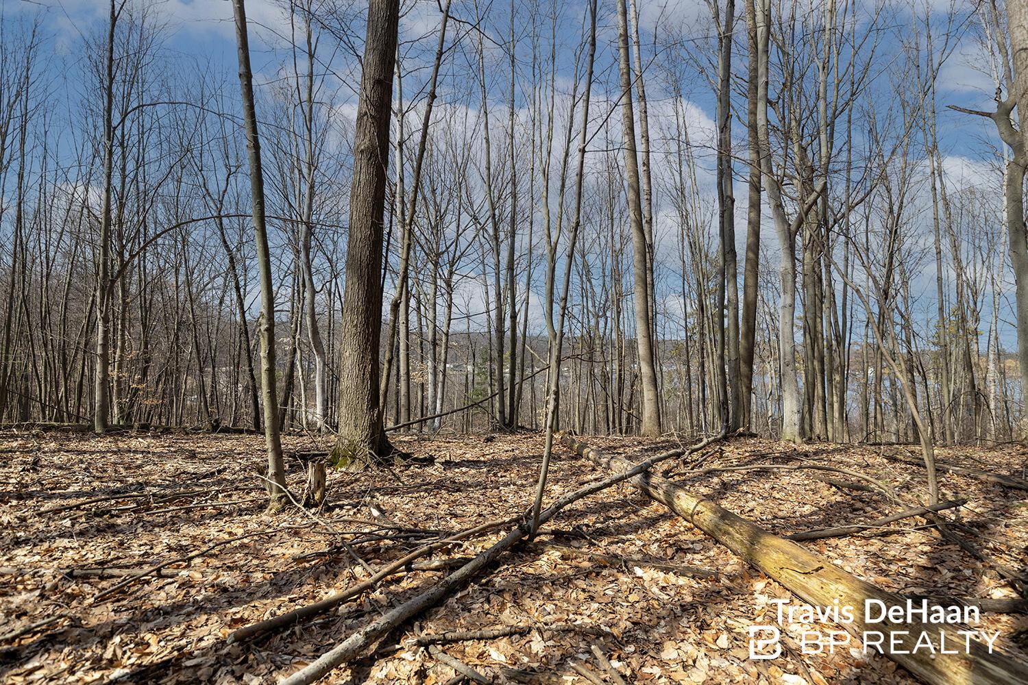 Image 4: 2F9A9311copy