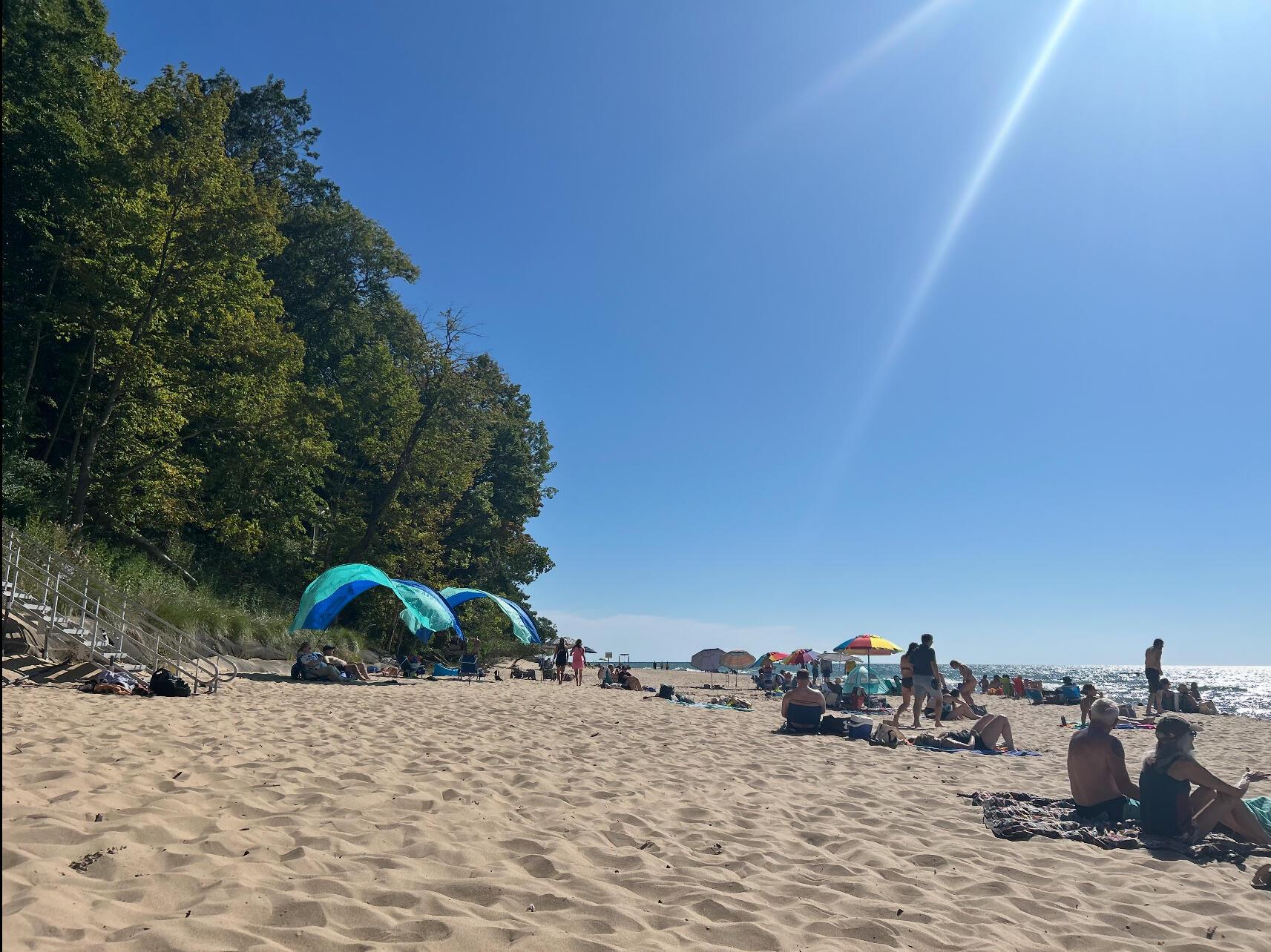 Image 2: 66EE369D-01BB-4A55-A11C-33A4EF5ADBEE_1_2