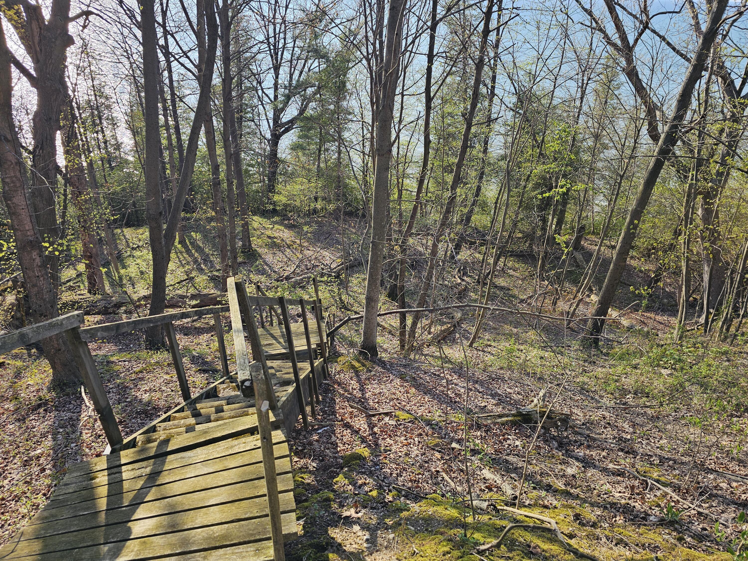 Image 2: View of the first landing