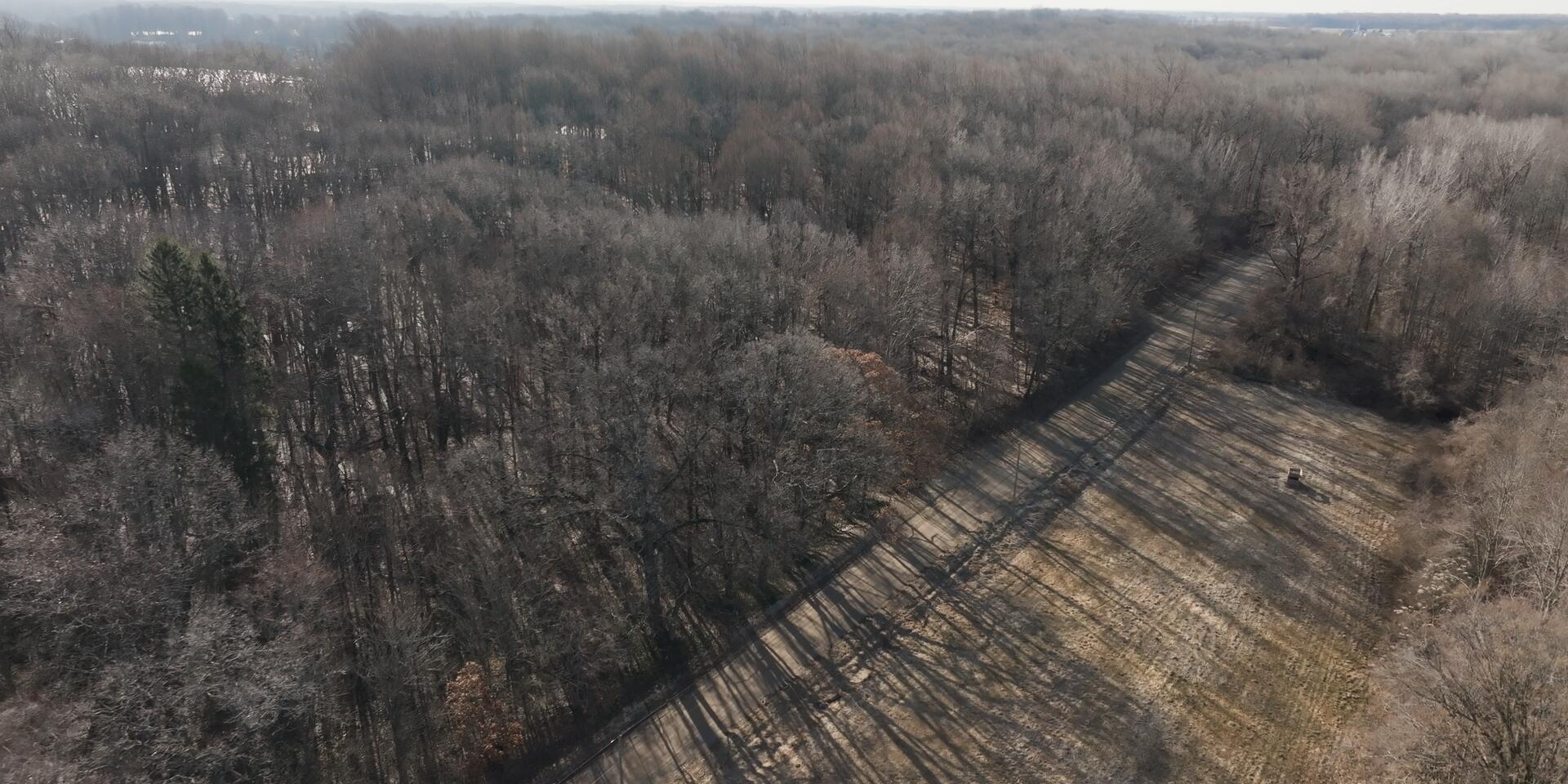 Image 2: Still 2026-03-13 111404_1.8.1