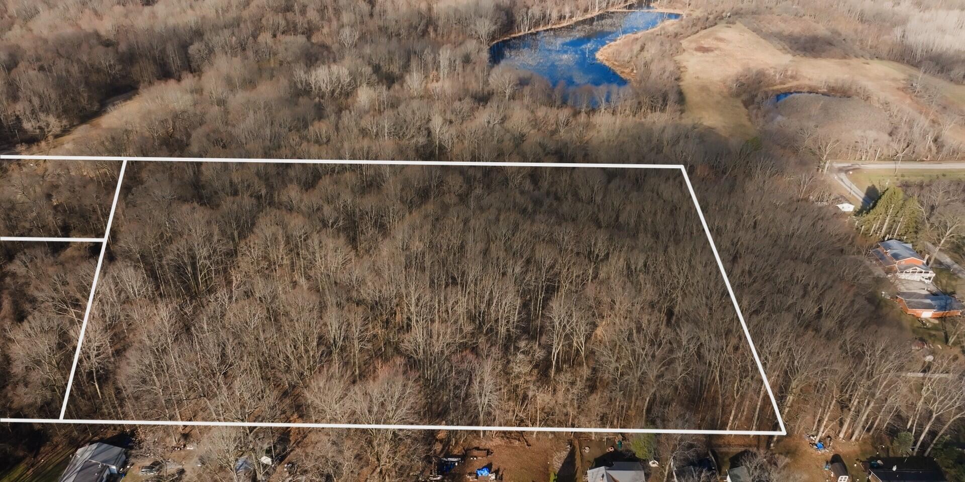 Image 3: Still 2026-03-13 111404_1.4.1