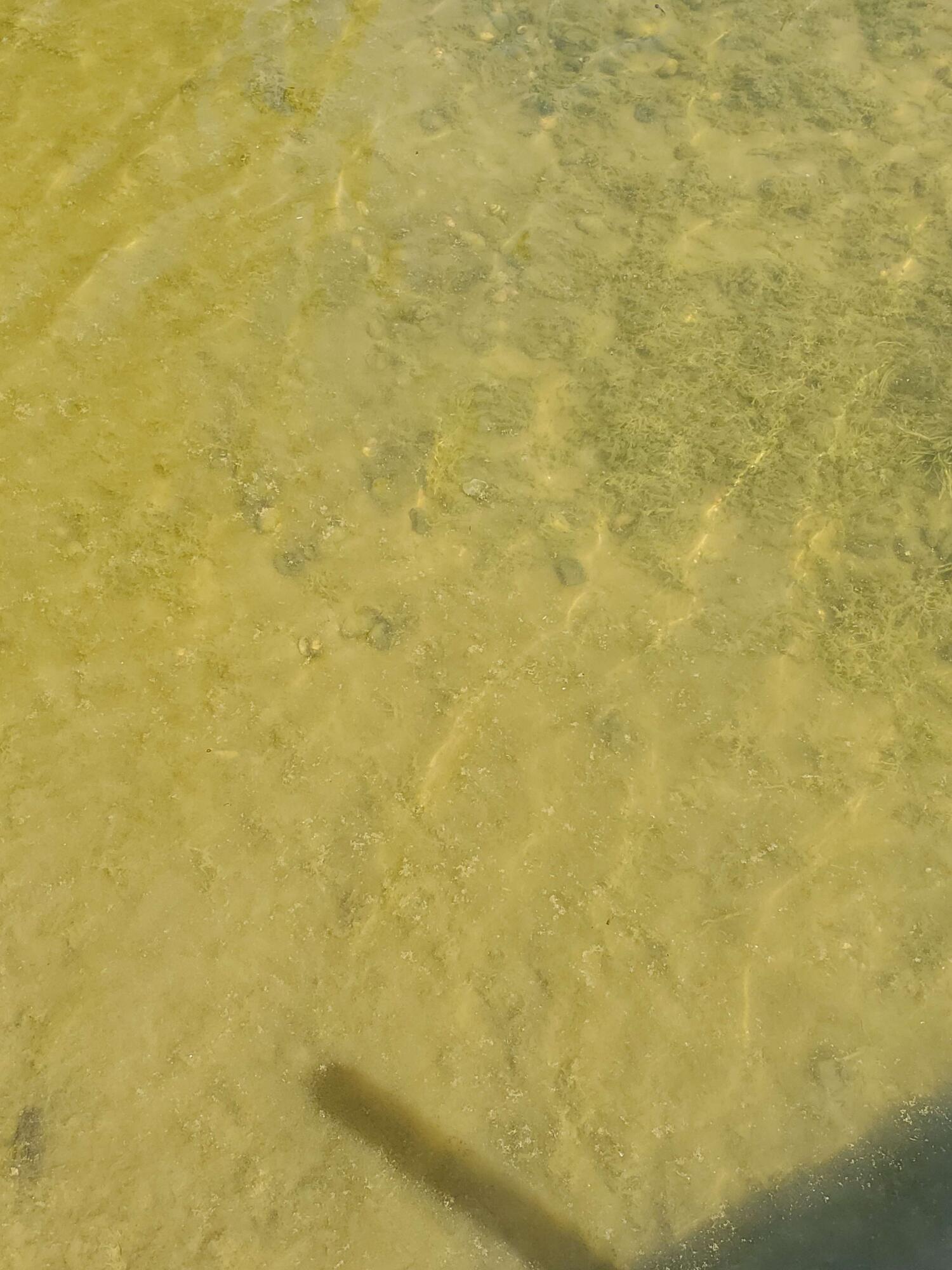 Image 3: 3_65993884_3_1753741939