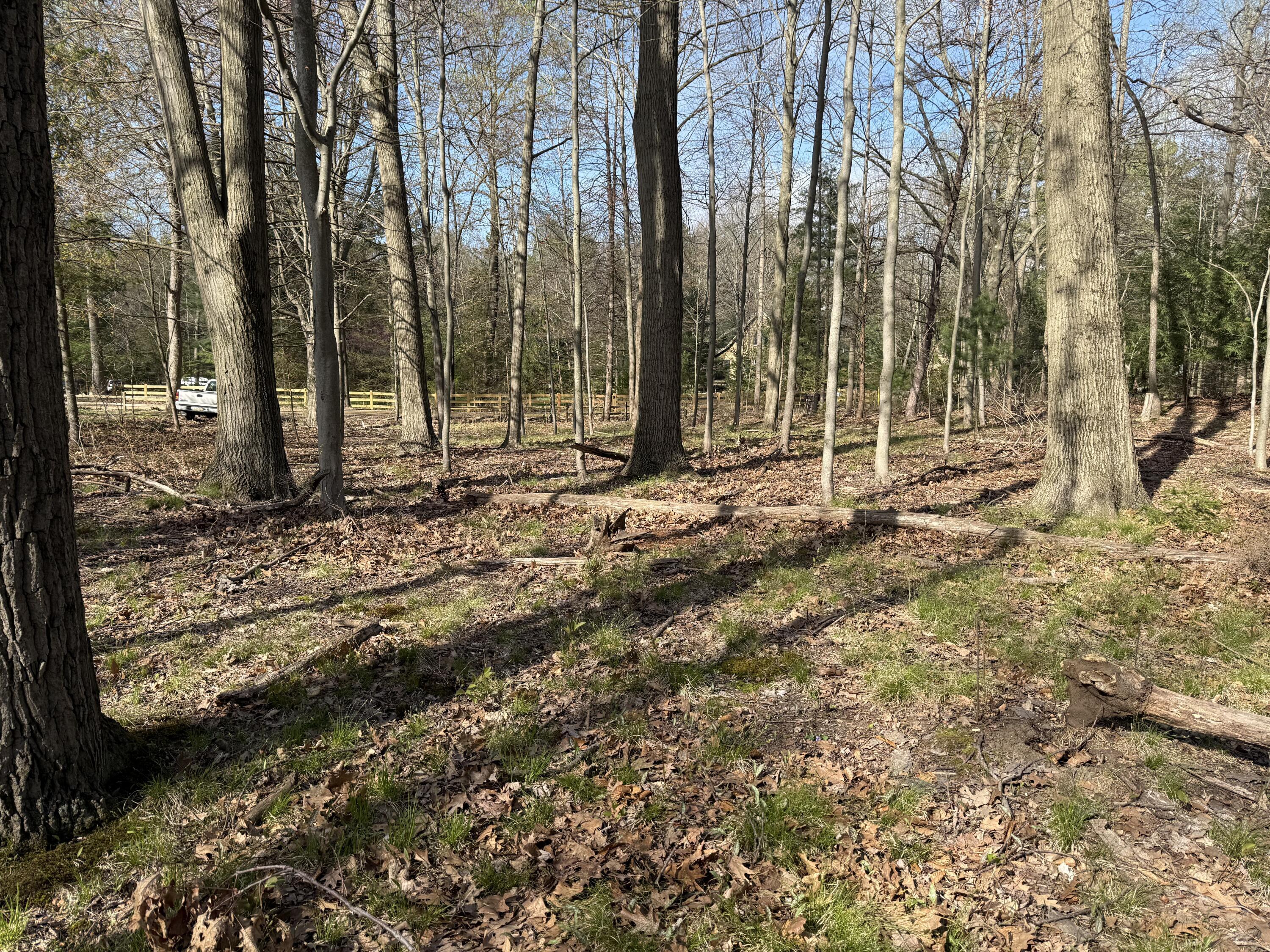 Image 3: IMG_0068